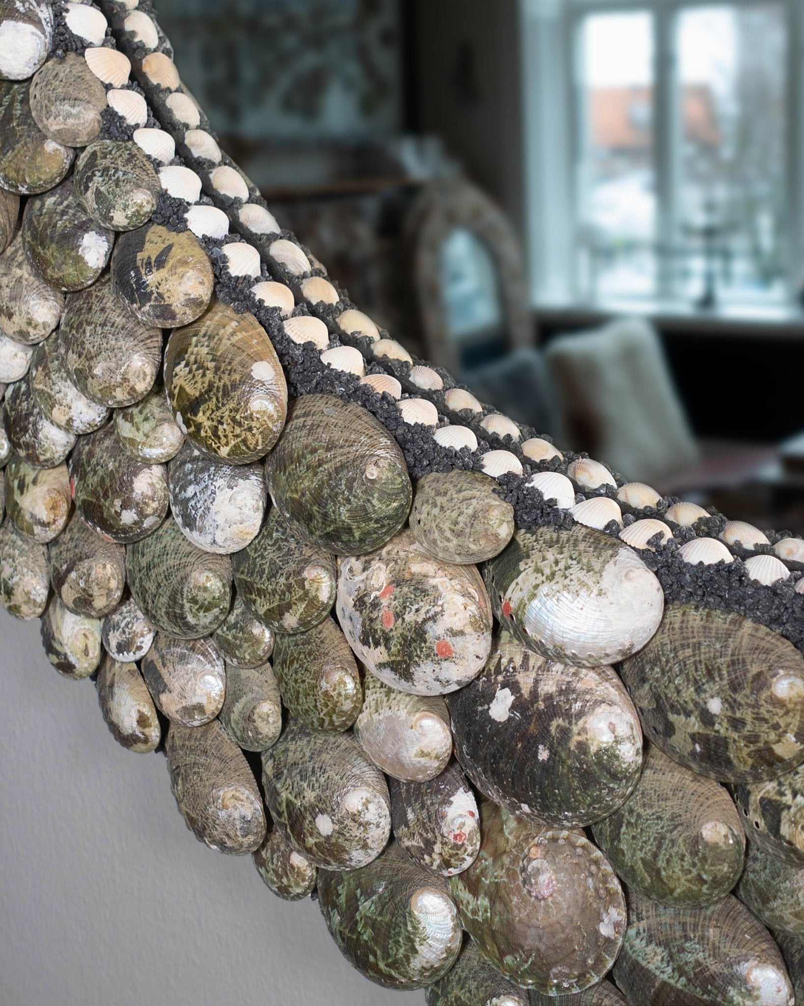 A PERFECT CIRCLE | Shell mirror | Shellman | Amsterdam | Natural art from sea and beach