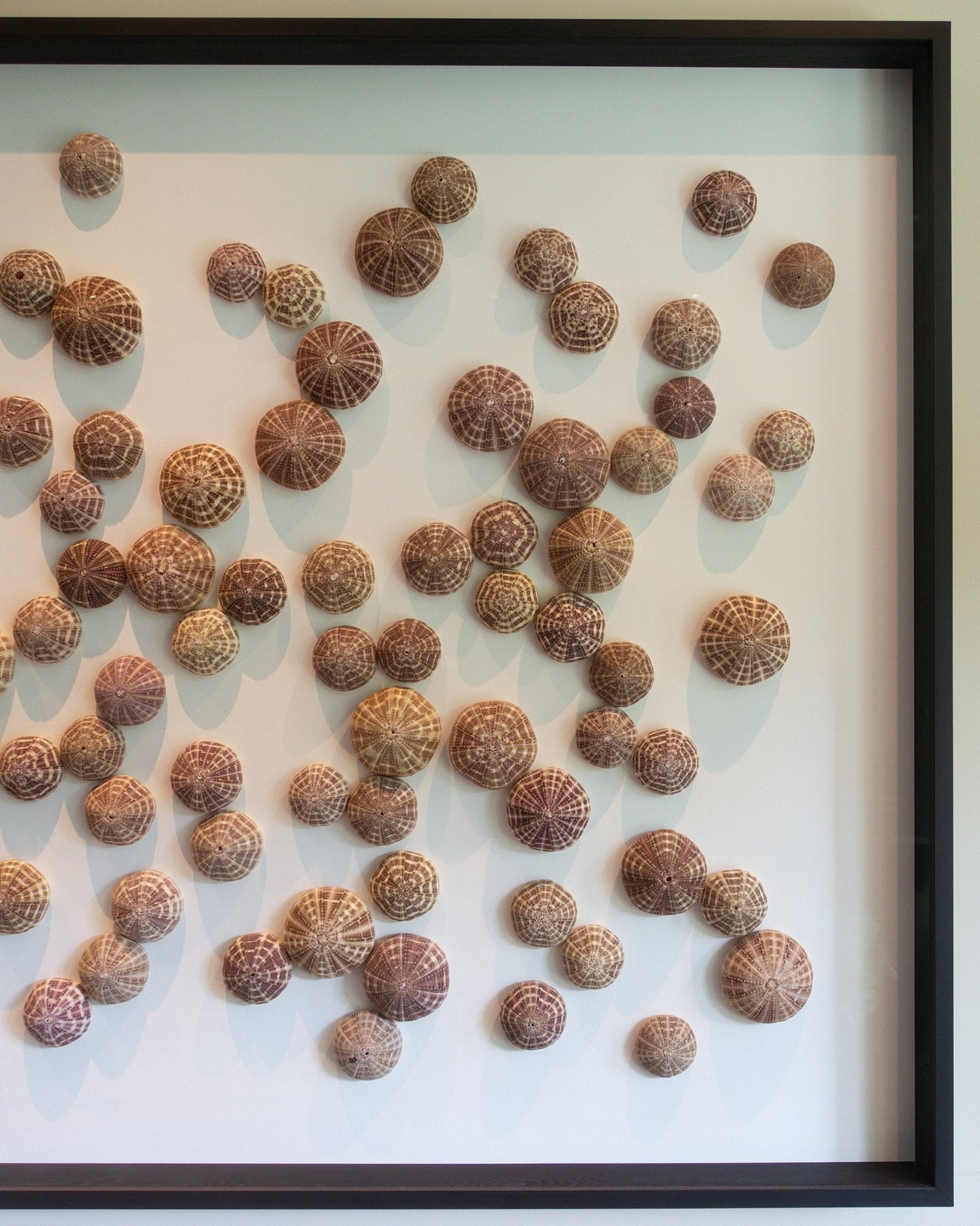 AS ABOVE SO BELOW | Wall decoration, 1 of 1 | Shellman | Amsterdam | Natural art from sea and beach