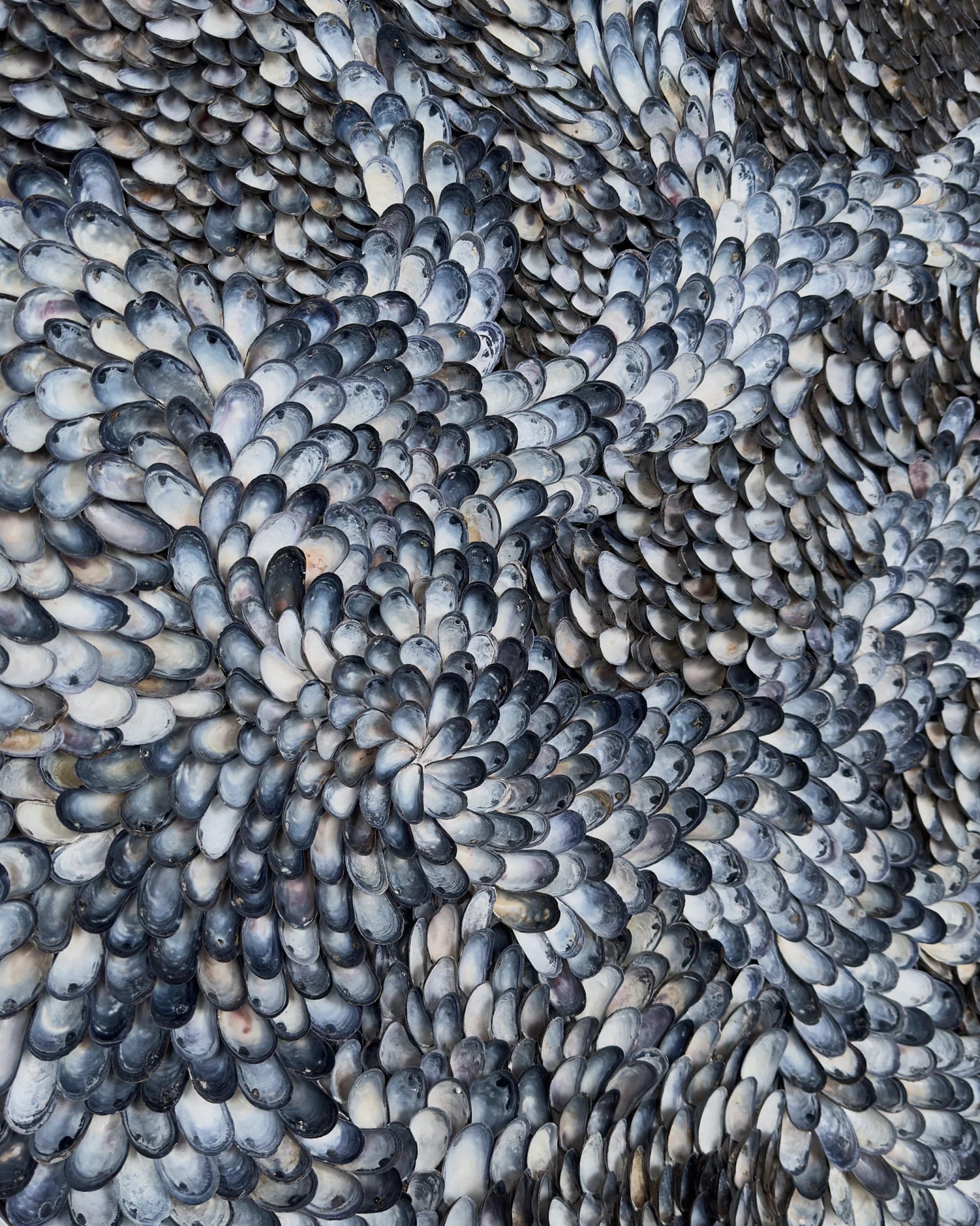 BLUE PLANET | Wall decoration, 1 of 1 | Shellman | Amsterdam | Natural art from sea and beach