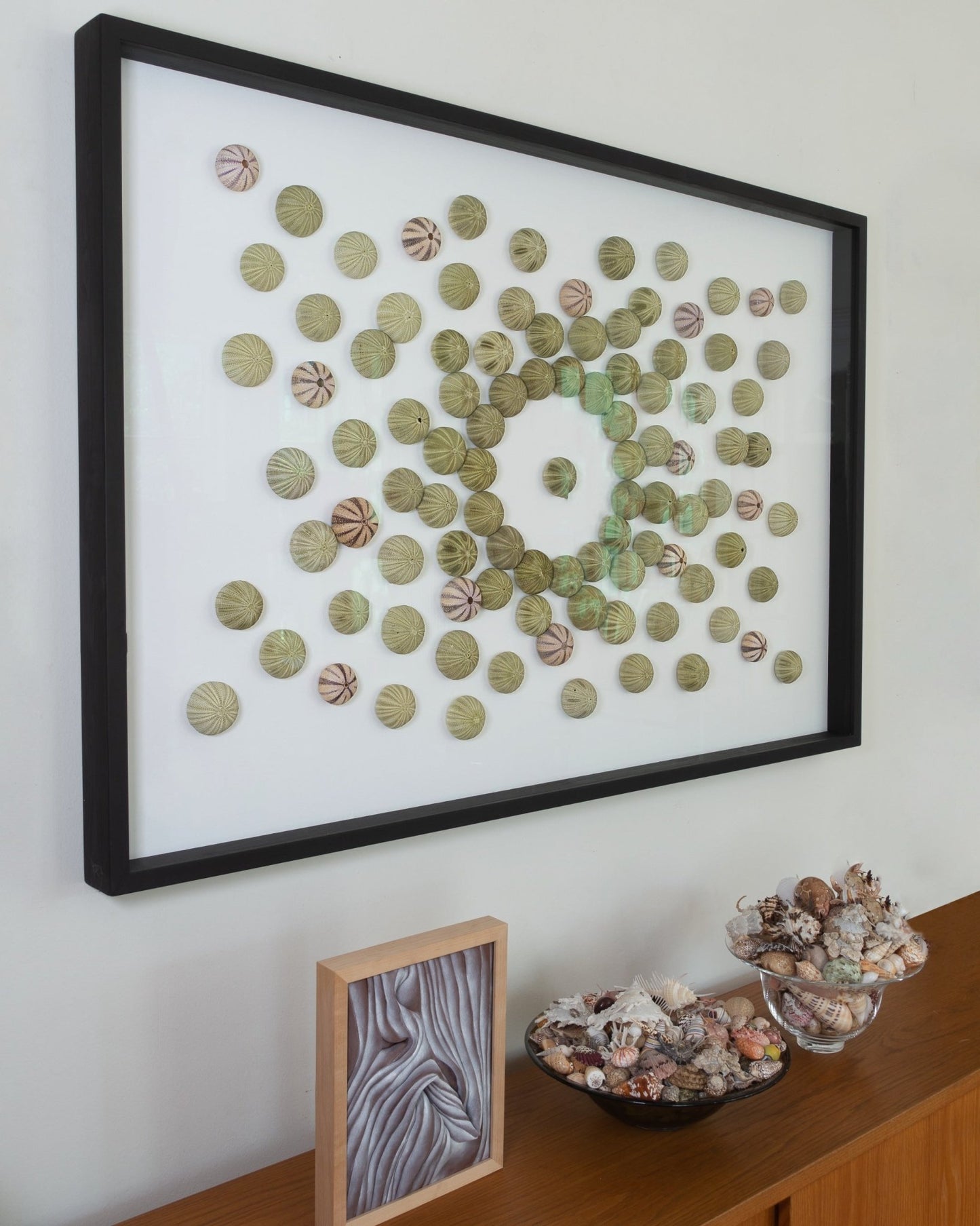 CENTER STAGE | Wall decoration, 1 of 1 | Shellman | Amsterdam | Natural art from sea and beach