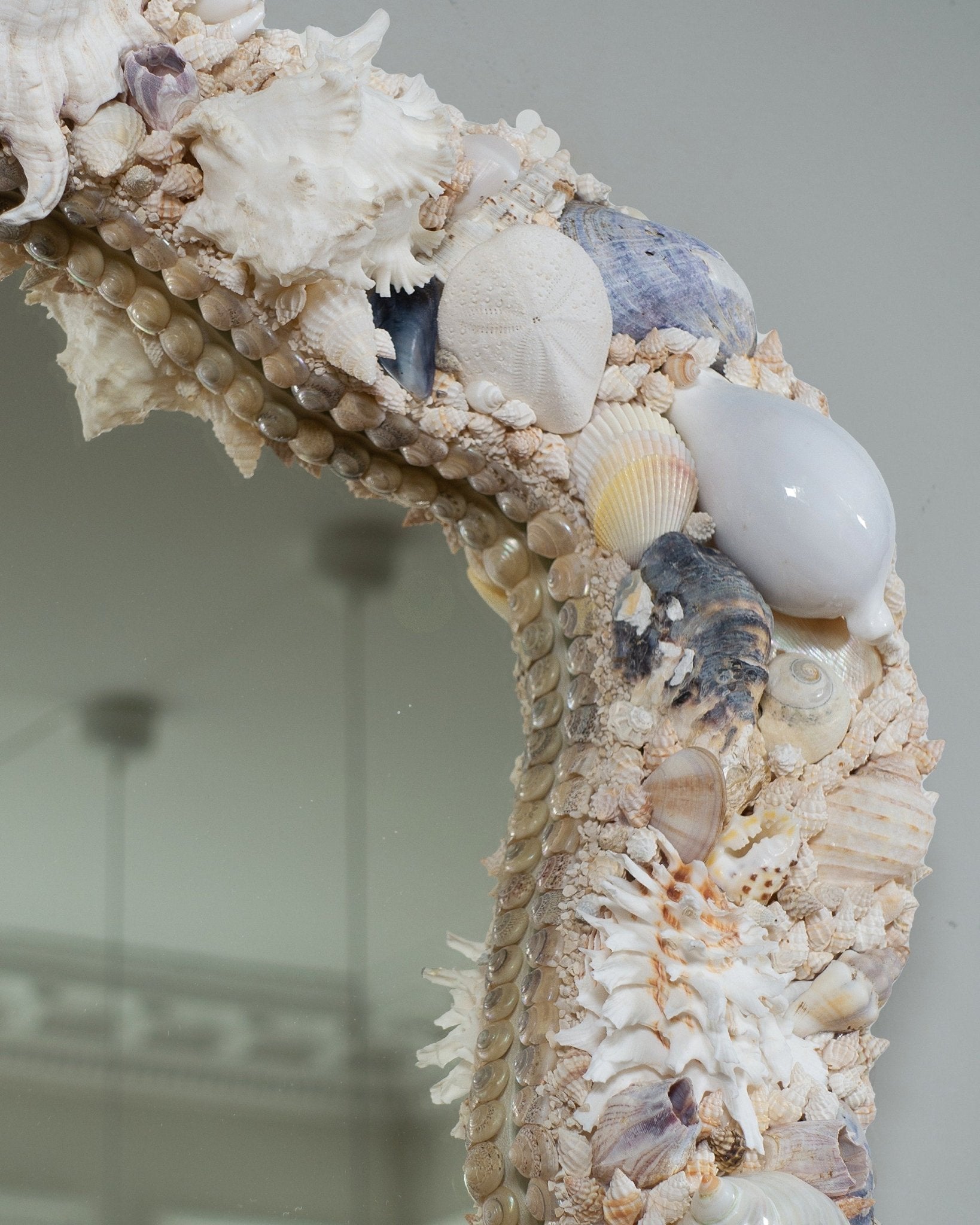 FACE IT | Shell mirror, 1 of 1 | Shellman | Amsterdam | Natural art from sea and beach