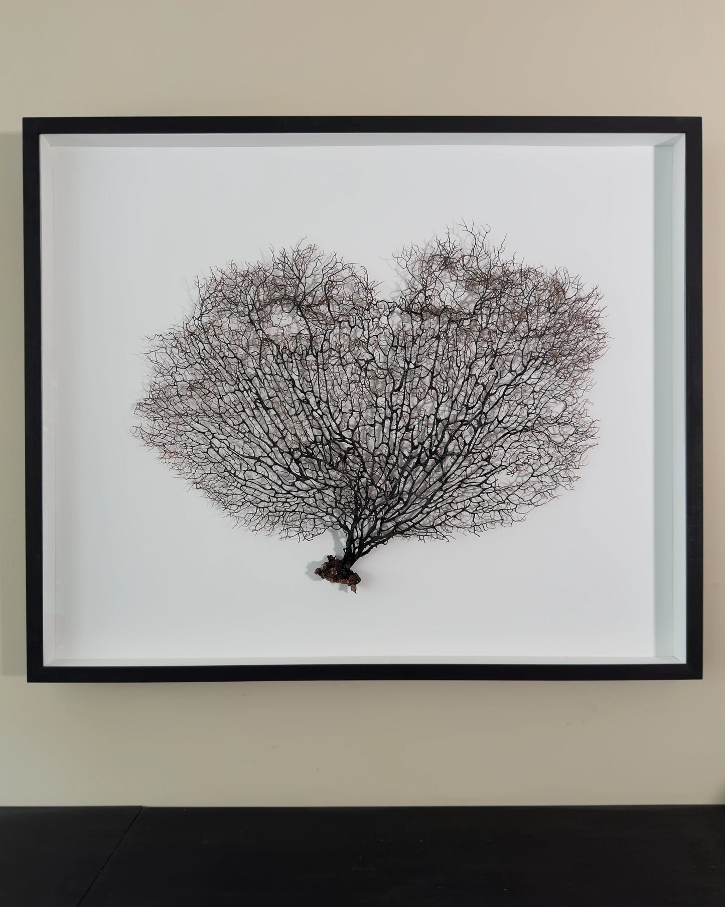FAN OF SHELLMAN | Wall decoration, 1 of 1 | Shellman | Amsterdam | Natural art from sea and beach