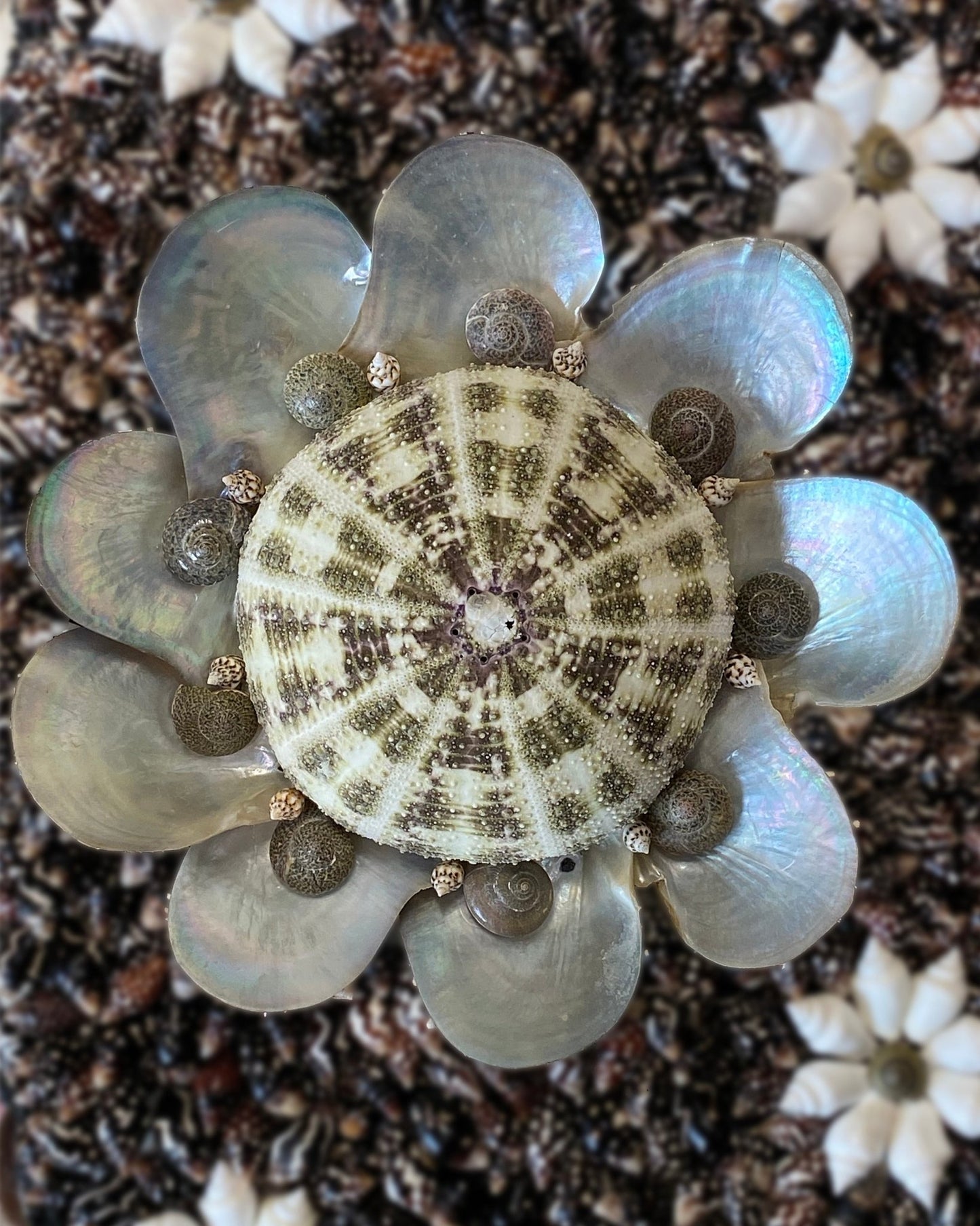 FLOWER POWER | Shell mirror, 1 of 1 | Shellman | Amsterdam | Natural art from sea and beach