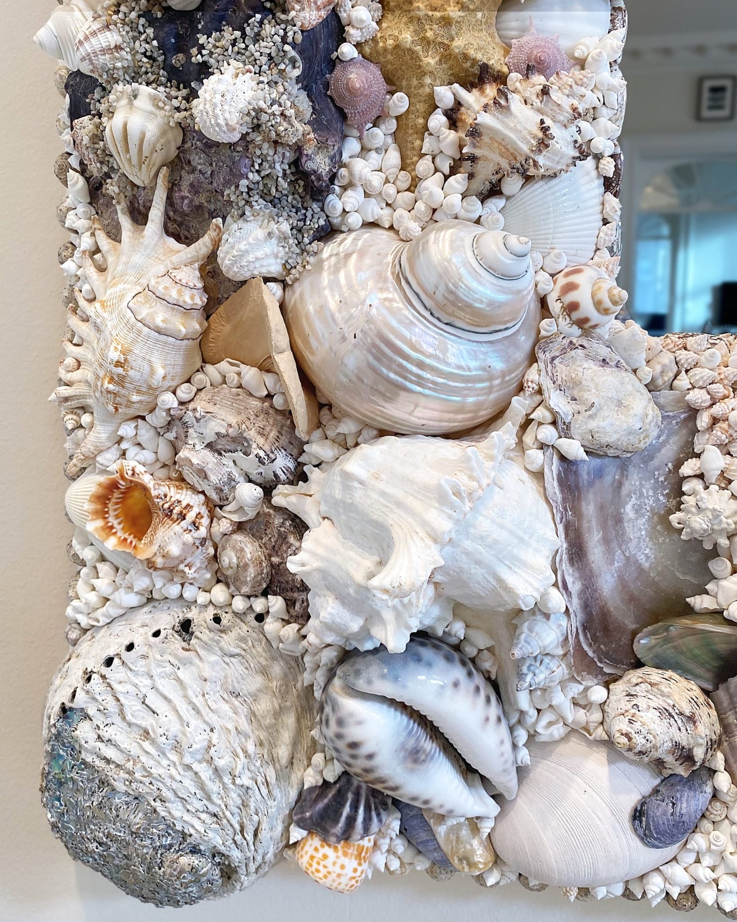 HEART OF THE OCEAN | Shell mirror, 1 of 1 | Shellman | Amsterdam | Natural art from sea and beach