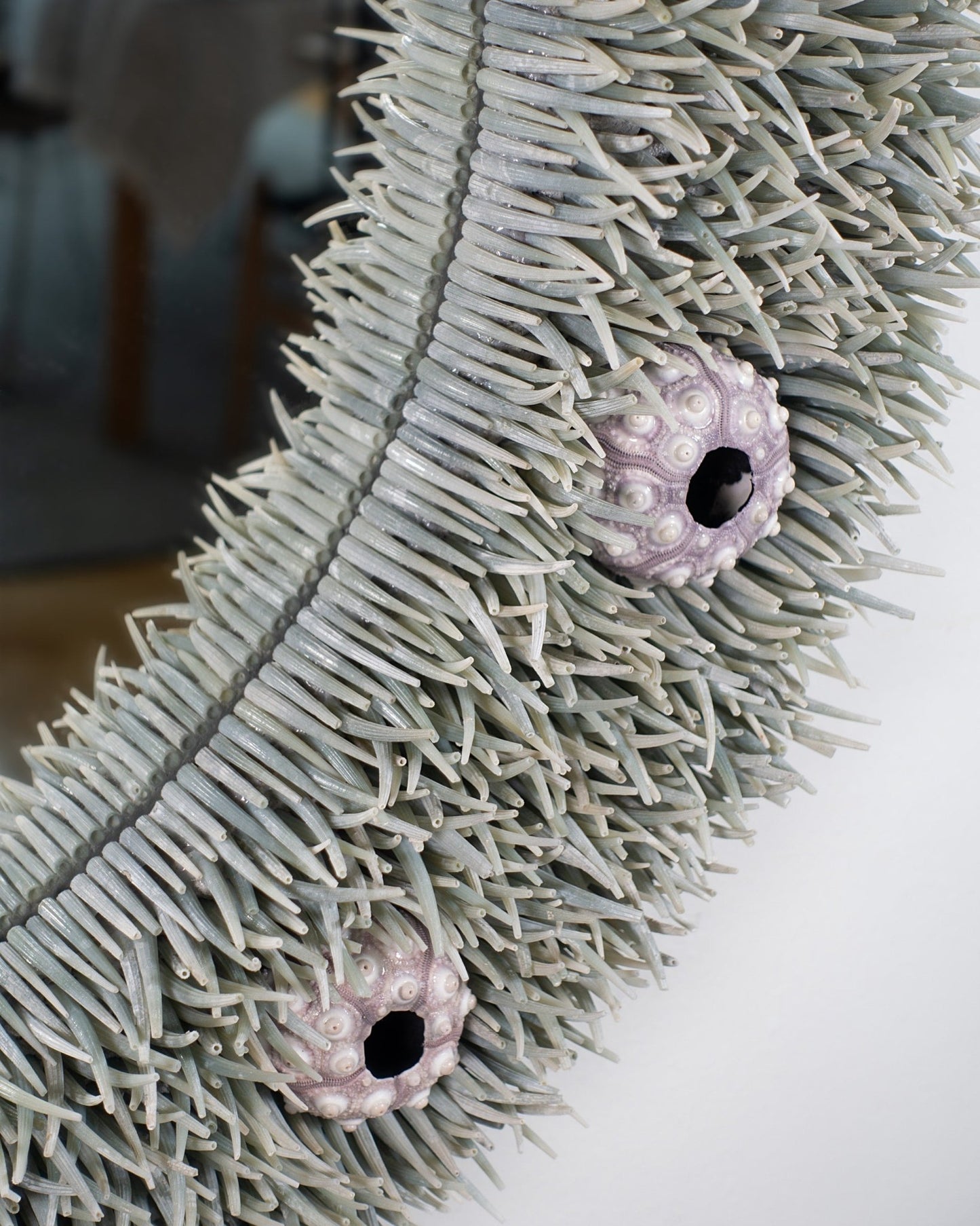 IN THE TALL GRASS | Shell mirror, 1 of 1 | Shellman | Amsterdam | Natural art from sea and beach