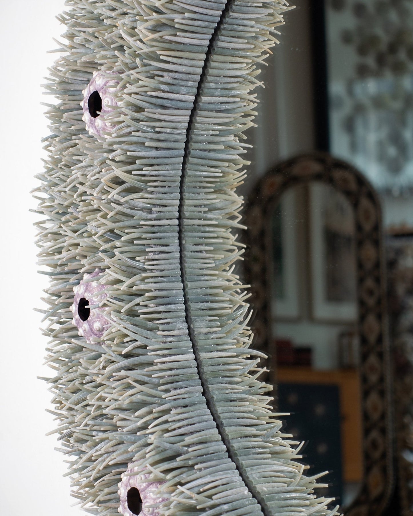 IN THE TALL GRASS | Shell mirror, 1 of 1 | Shellman | Amsterdam | Natural art from sea and beach