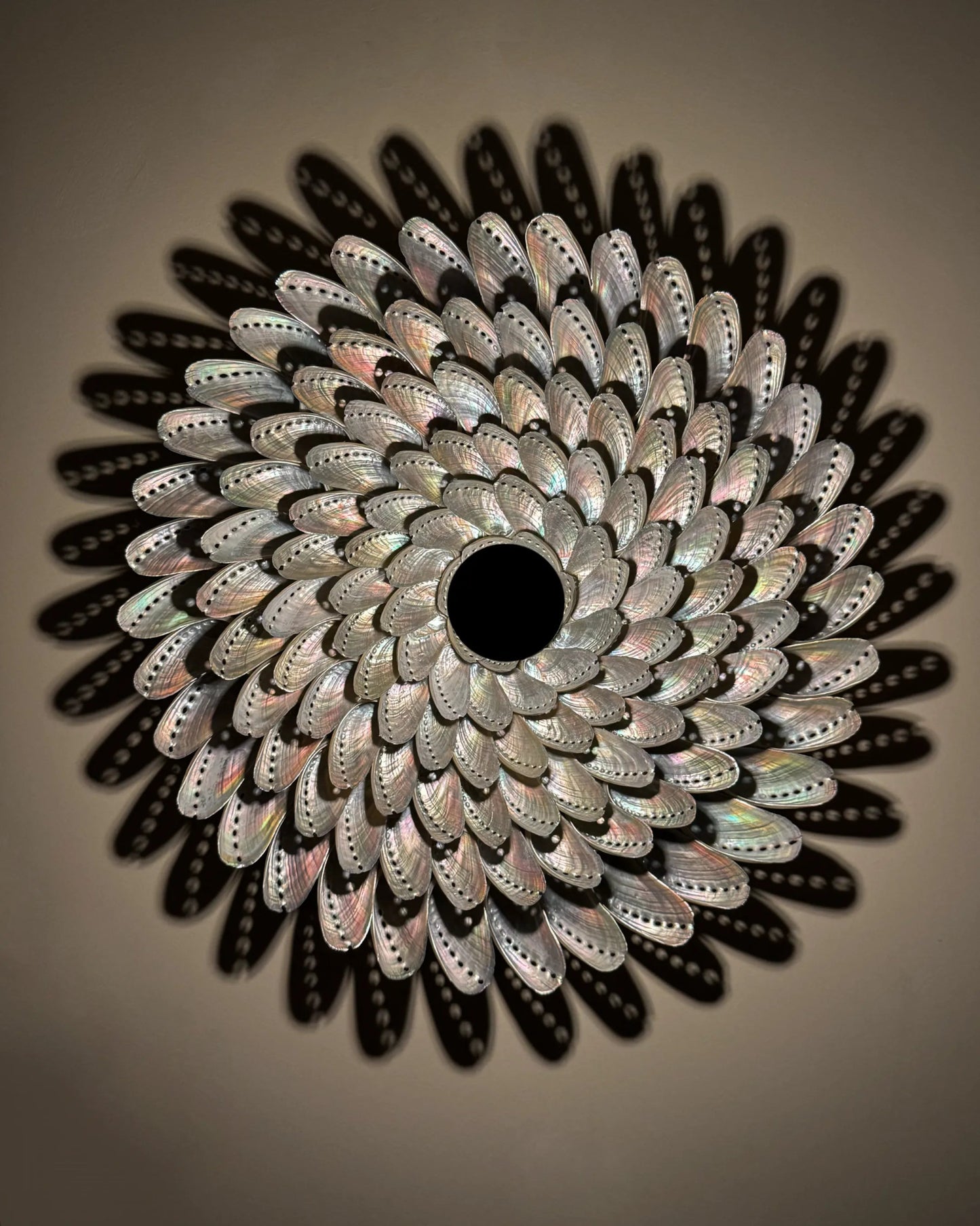 LUMI 45 | Light / Wall Decoration | Shellman | Amsterdam | Natural art from sea and beach