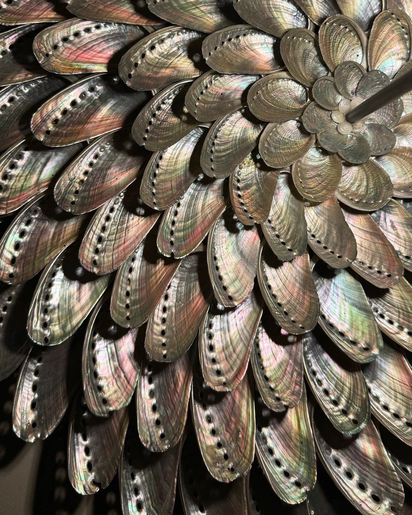 LUMI 55 | Light / Wall Decoration | Shellman | Amsterdam | Natural art from sea and beach