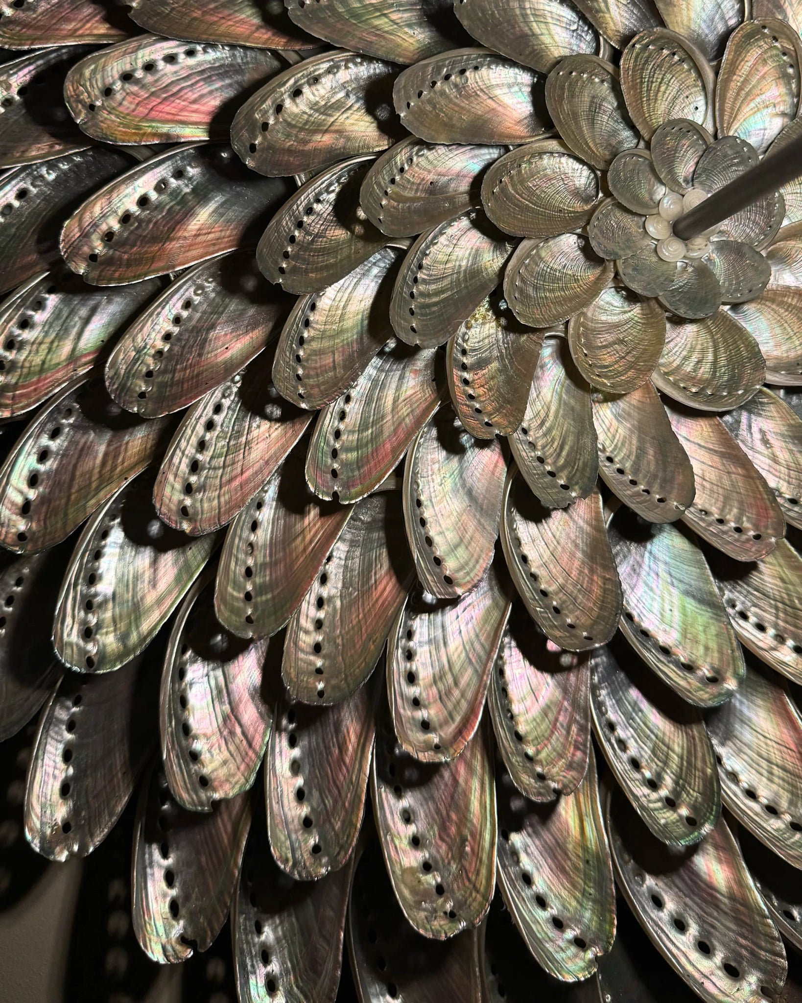 LUMI 55 | Light / Wall Decoration | Shellman | Amsterdam | Natural art from sea and beach