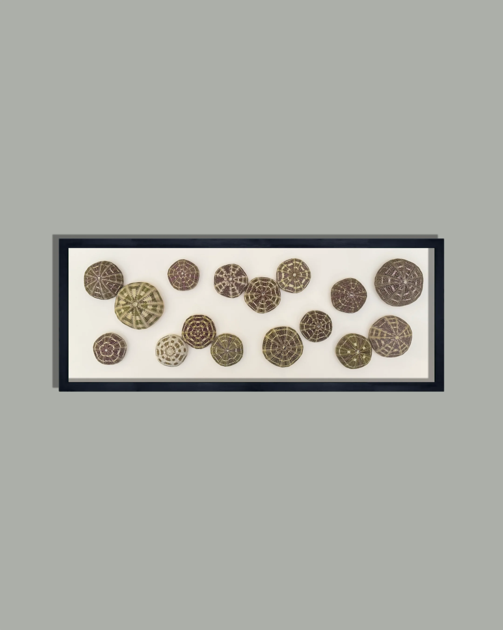 LUMINOUS No.10 | Light / Wall Decoration, 1 of 1 | Shellman | Amsterdam | Natural art from sea and beach