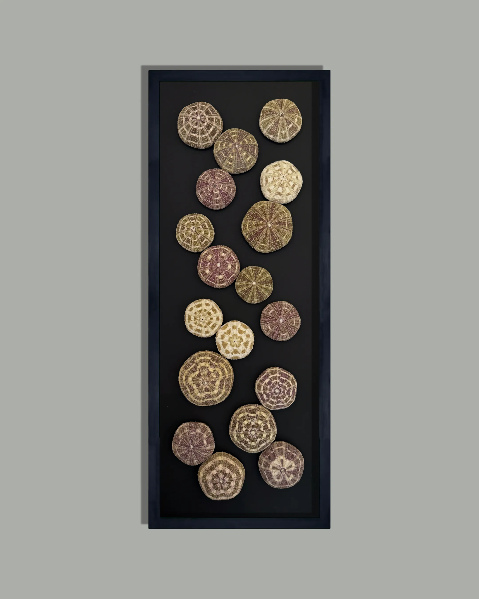 LUMINOUS No.11 | Light / Wall Decoration, 1 of 1 | Shellman | Amsterdam | Natural art from sea and beach