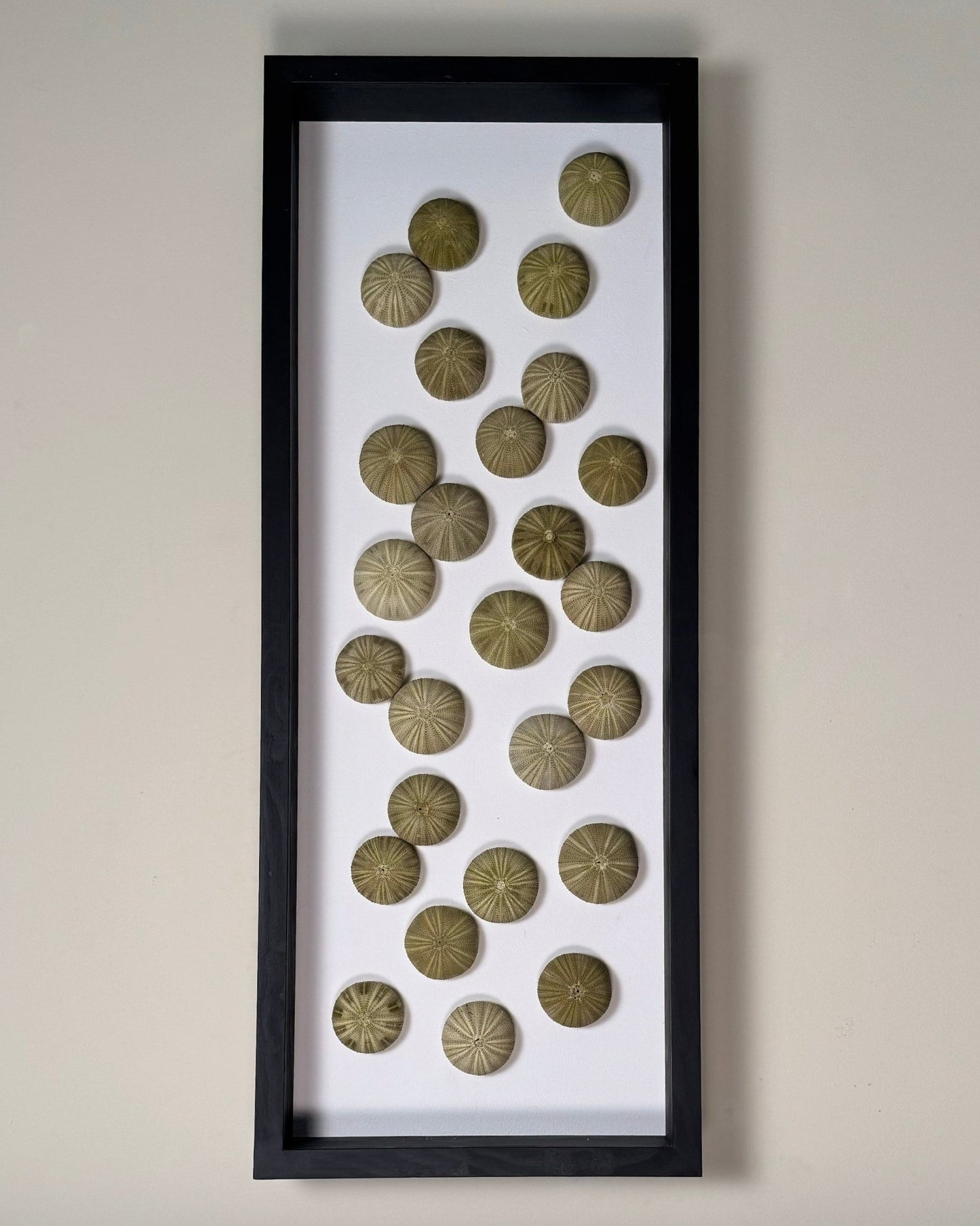 LUMINOUS NO.2 | Light / Wall Decoration, 1 of 1 | Shellman | Amsterdam | Natural art from sea and beach