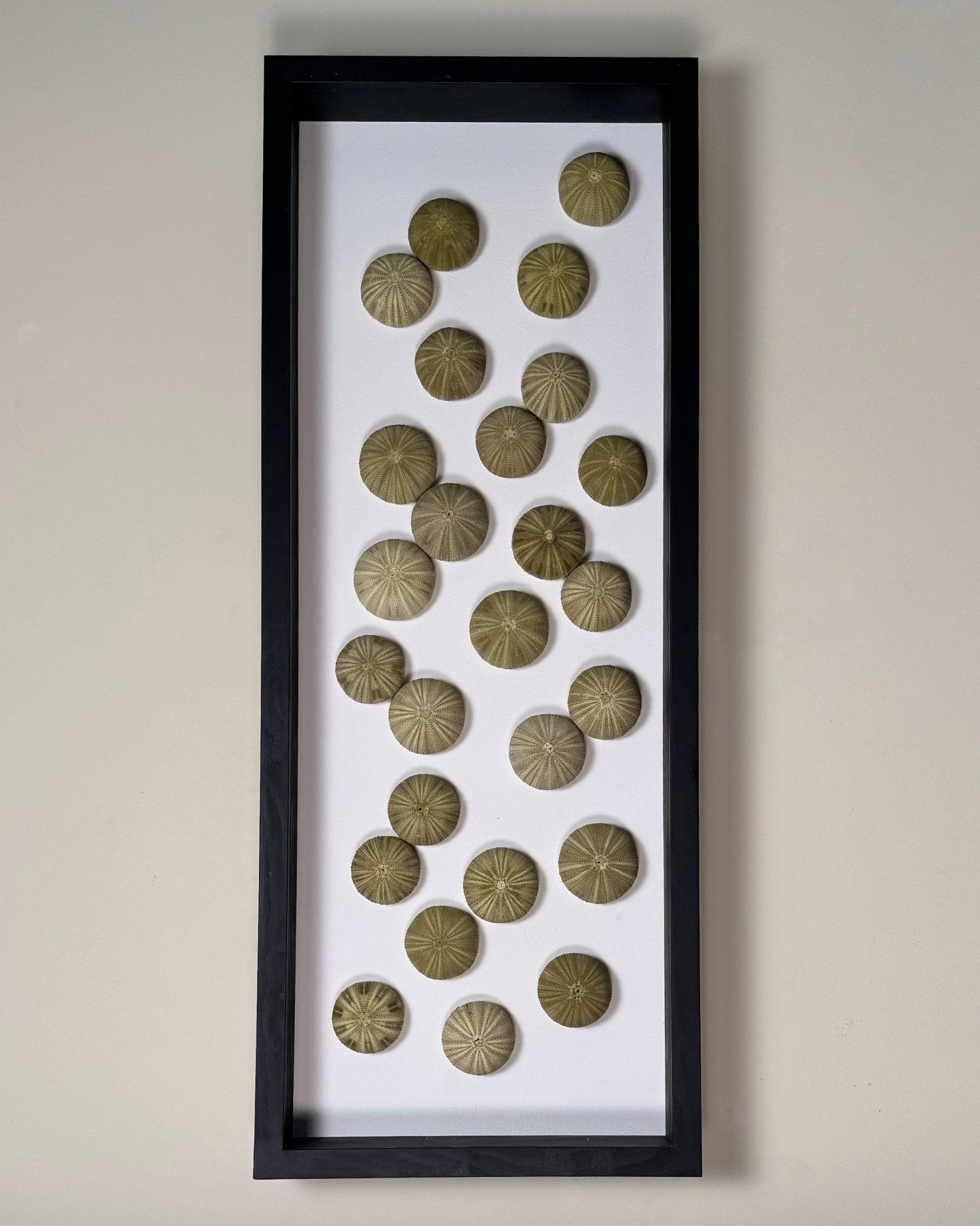 LUMINOUS NO.2 | Light / Wall Decoration, 1 of 1 | Shellman | Amsterdam | Natural art from sea and beach