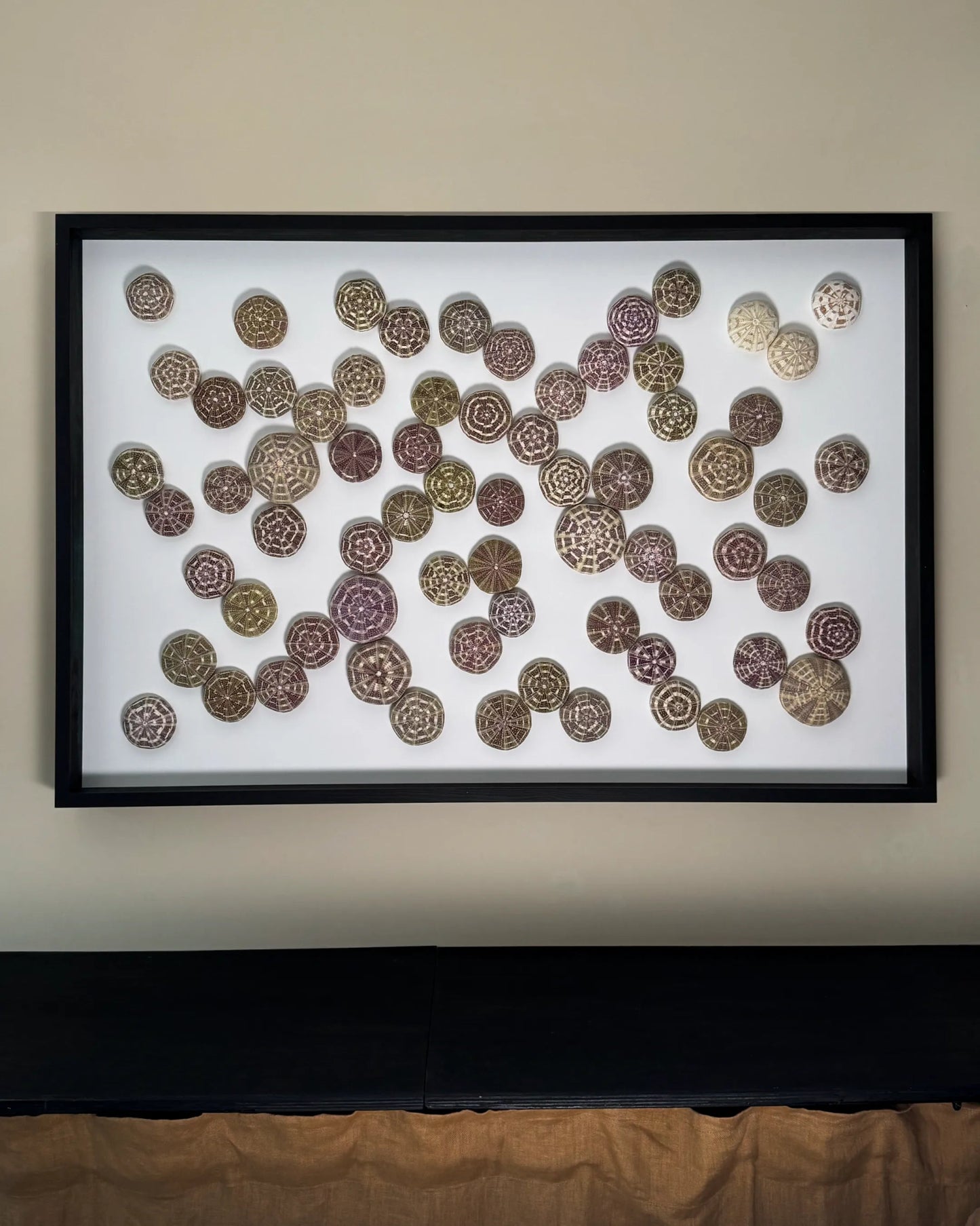 LUMINOUS NO.3 | Light / Wall Decoration, 1 of 1 | Shellman | Amsterdam | Natural art from sea and beach