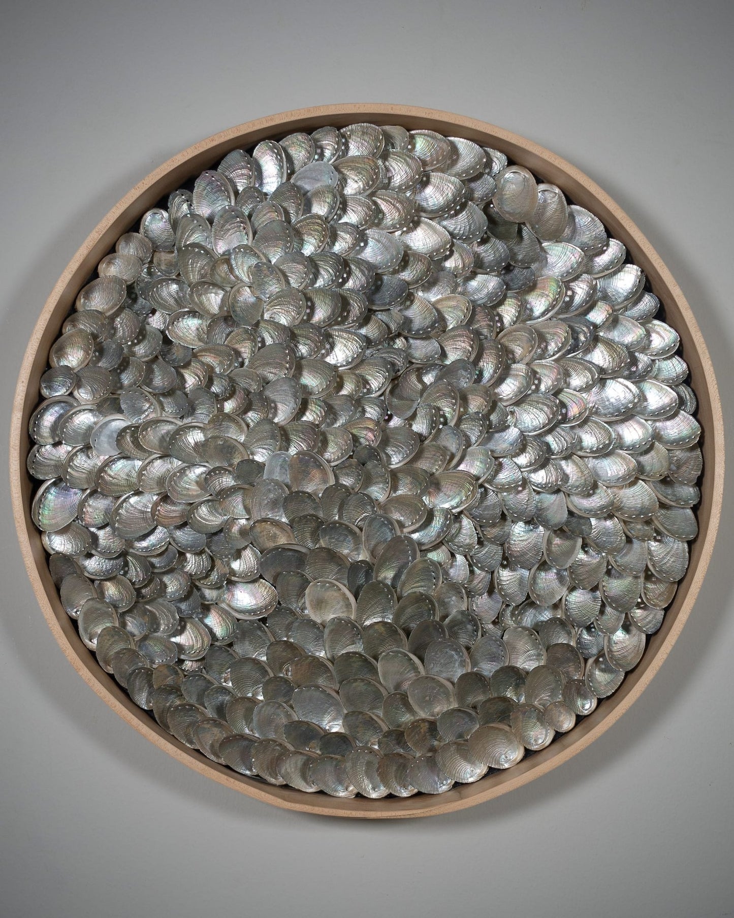 MAPLE FLOW | Light / Wall Decoration, 1 of 1 | Shellman | Amsterdam | Natural art from sea and beach
