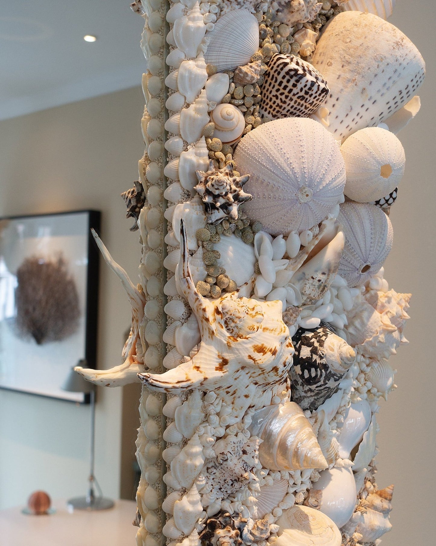 MUREX | Shell mirror, 1 of 1 | Shellman | Amsterdam | Natural art from sea and beach