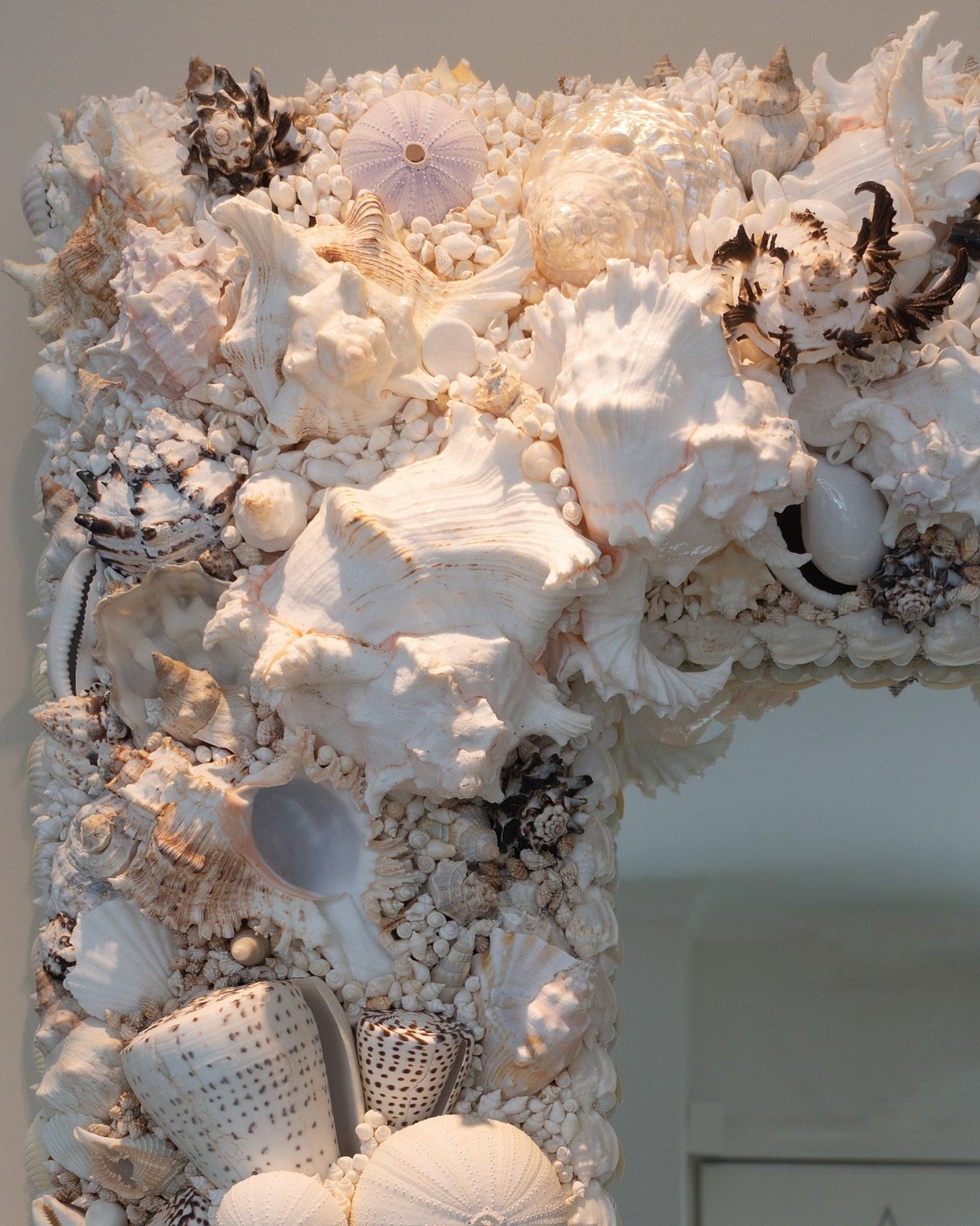 MUREX | Shell mirror, 1 of 1 | Shellman | Amsterdam | Natural art from sea and beach