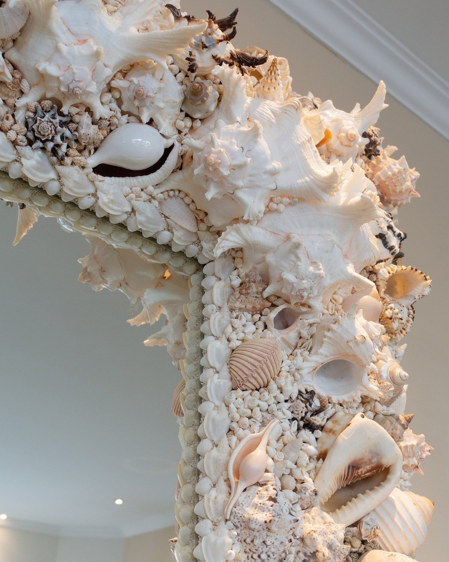 MUREX | Shell mirror, 1 of 1 | Shellman | Amsterdam | Natural art from sea and beach