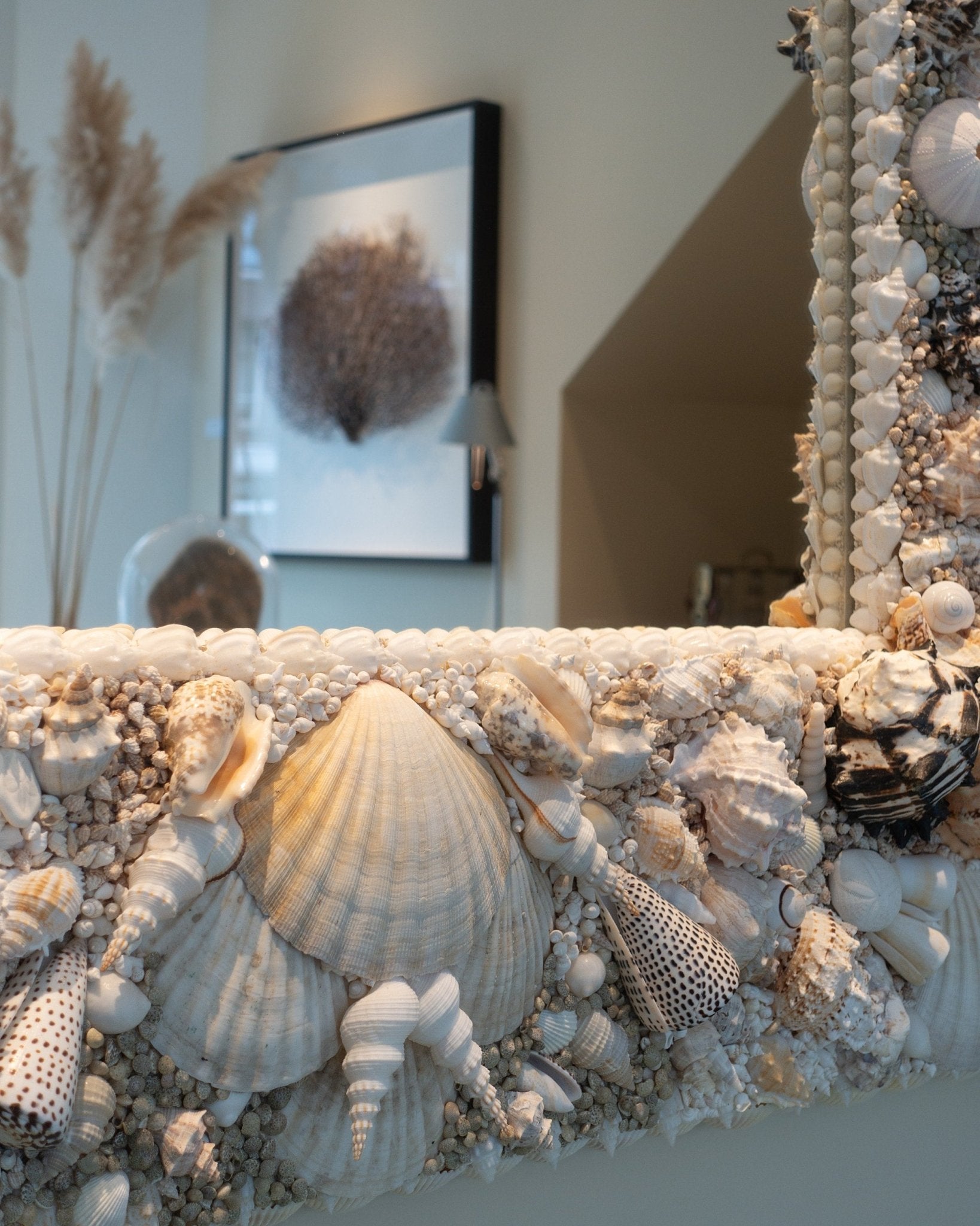 MUREX | Shell mirror, 1 of 1 | Shellman | Amsterdam | Natural art from sea and beach