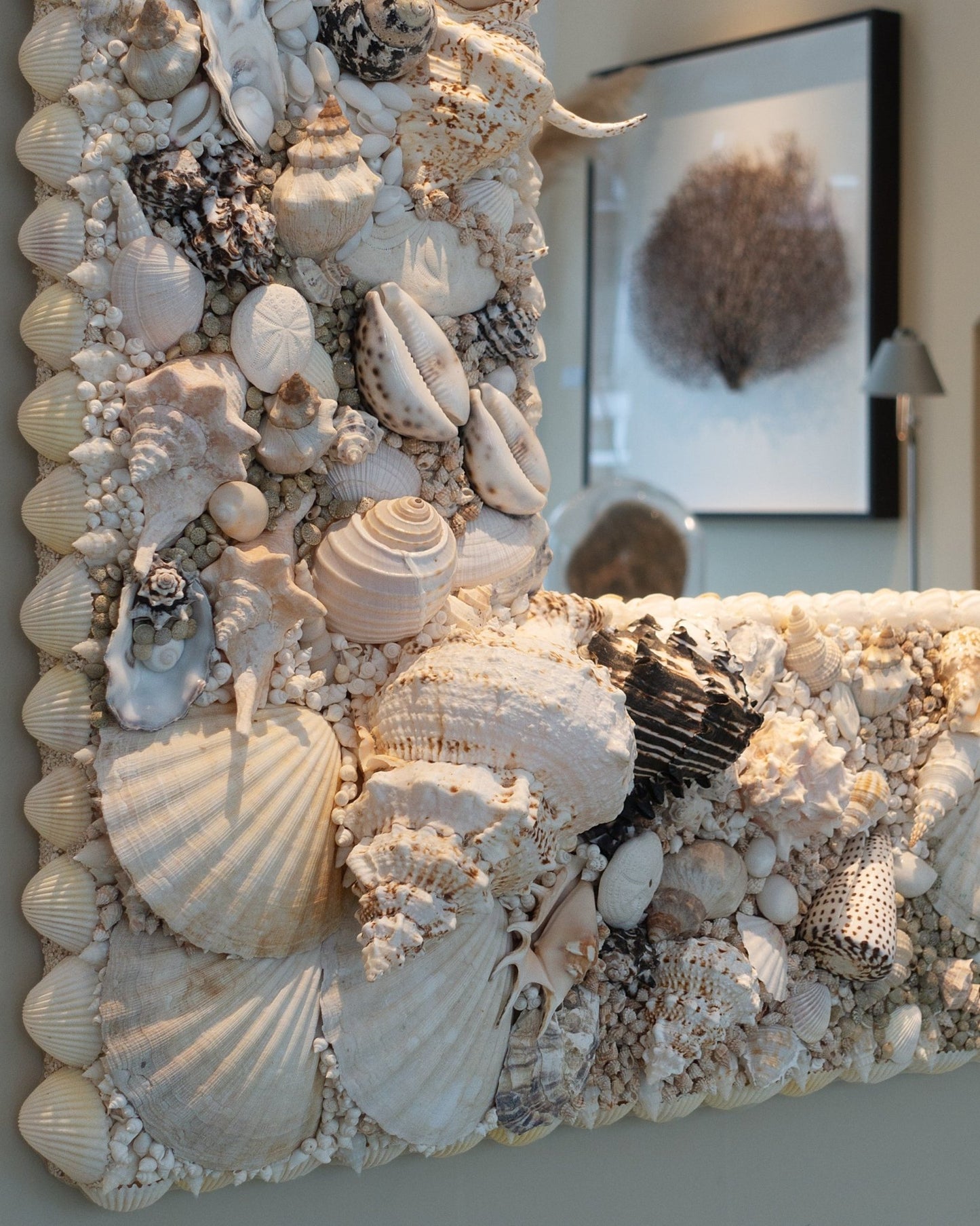 MUREX | Shell mirror, 1 of 1 | Shellman | Amsterdam | Natural art from sea and beach