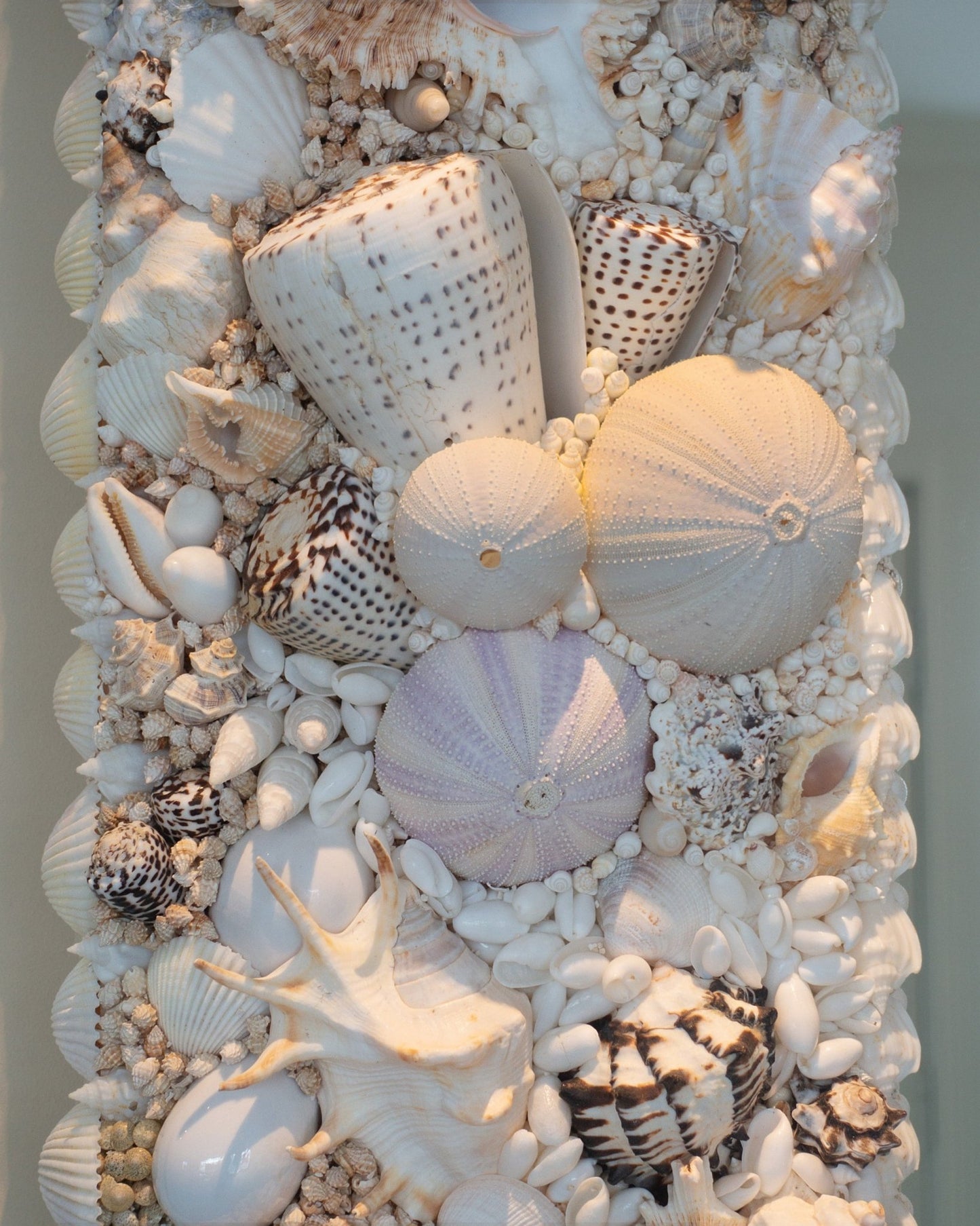 MUREX | Shell mirror, 1 of 1 | Shellman | Amsterdam | Natural art from sea and beach