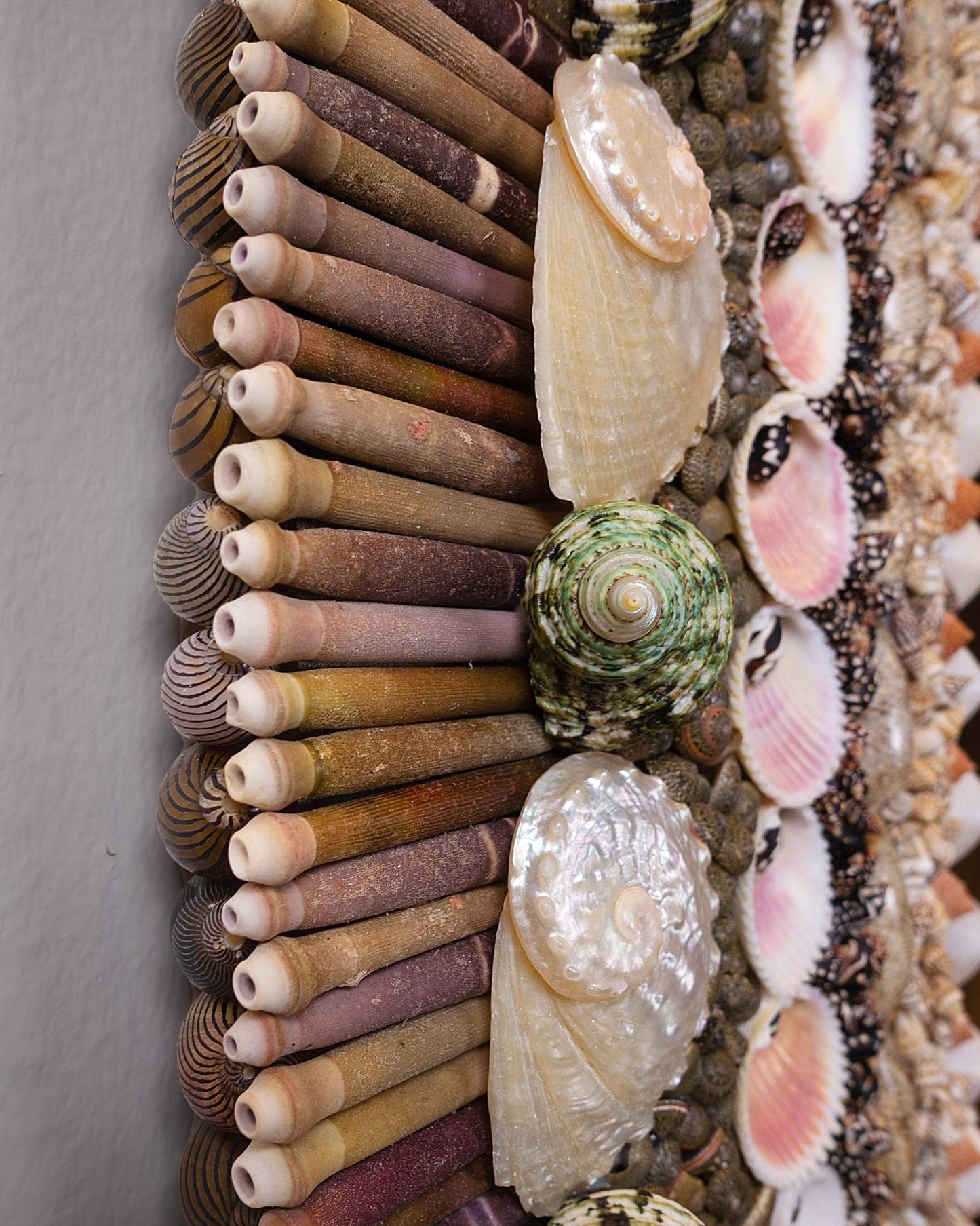 OVAL DECISIONS | Shell mirrror, 1 of 1 | Shellman | Amsterdam | Natural art from sea and beach