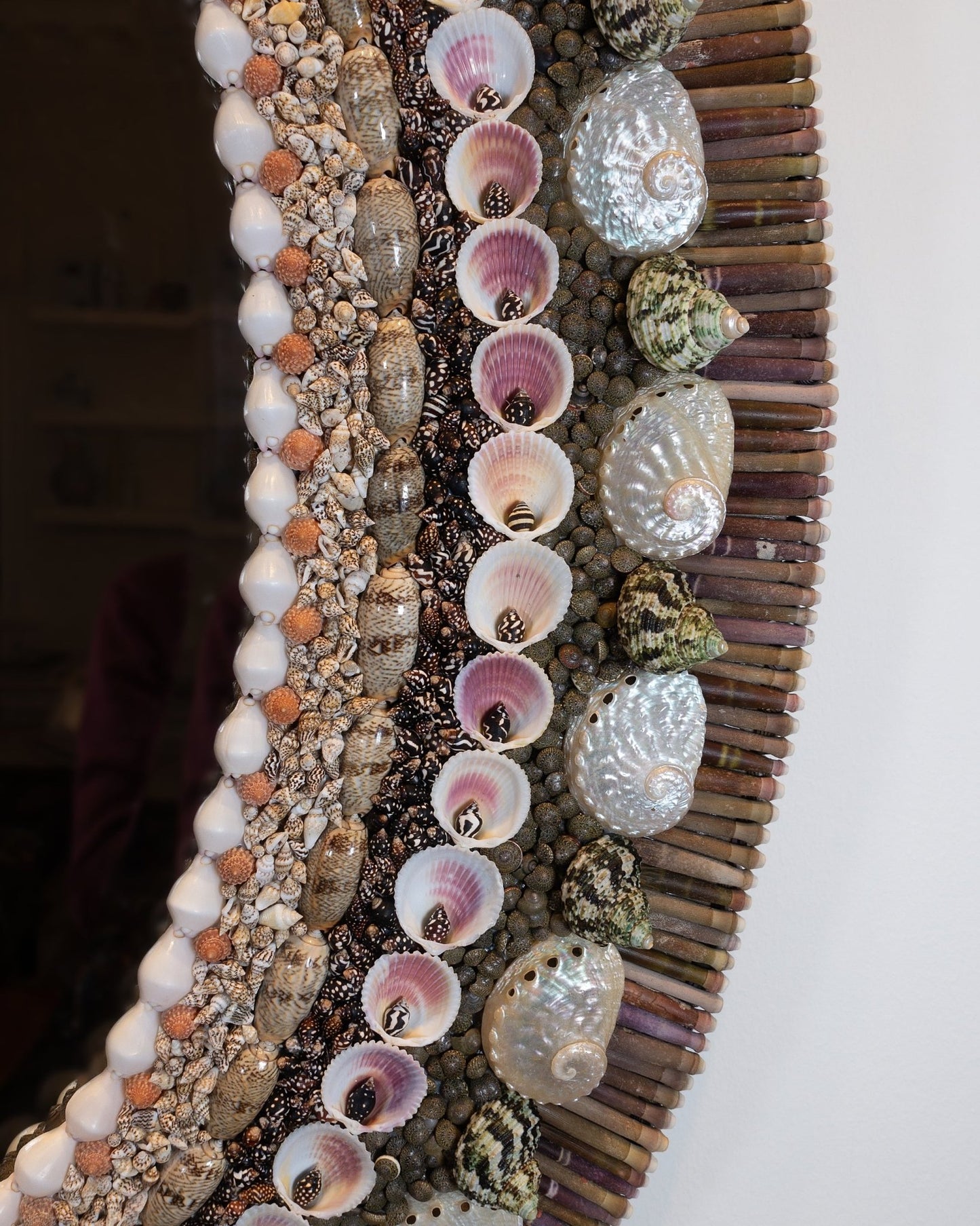 OVAL DECISIONS | Shell mirrror, 1 of 1 | Shellman | Amsterdam | Natural art from sea and beach