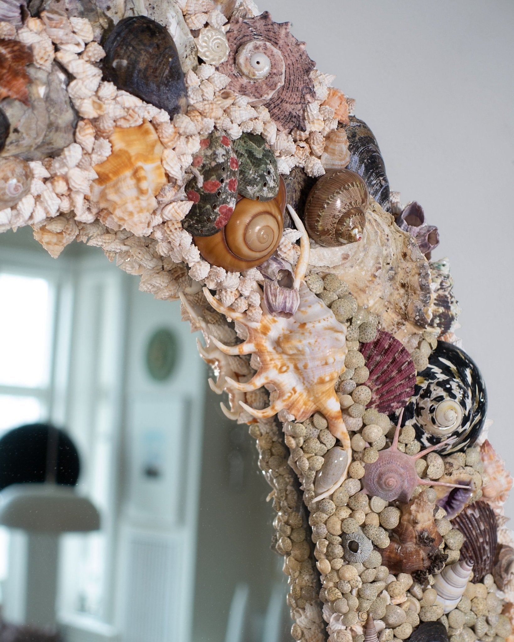OVOID | Shell mirror, 1 of 1 | Shellman | Amsterdam | Natural art from sea and beach