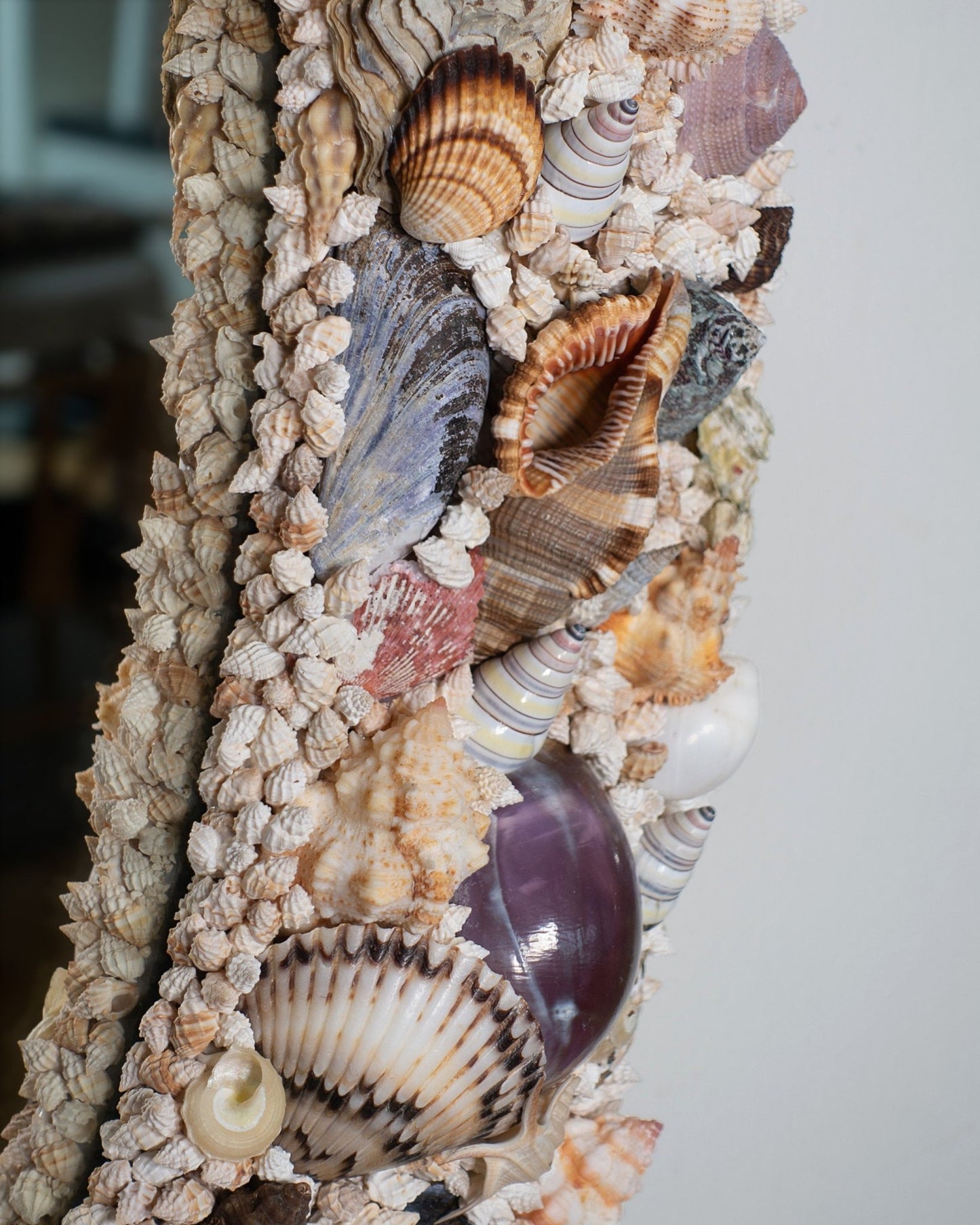 OVOID | Shell mirror, 1 of 1 | Shellman | Amsterdam | Natural art from sea and beach