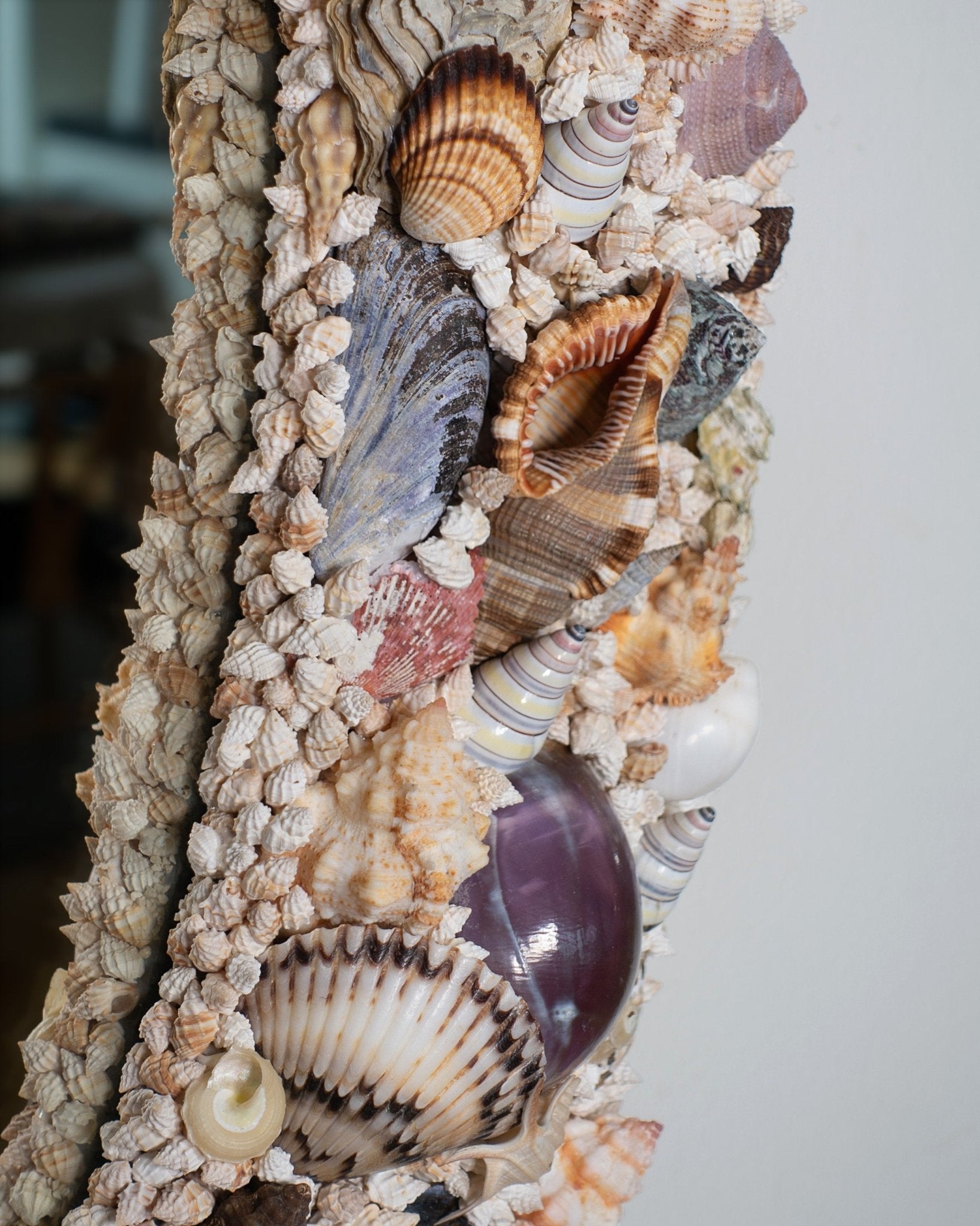 OVOID | Shell mirror, 1 of 1 | Shellman | Amsterdam | Natural art from sea and beach