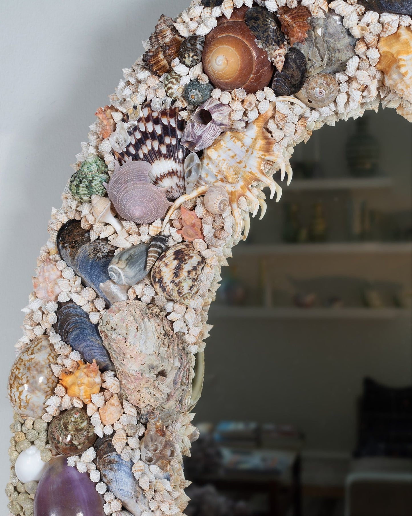 OVOID | Shell mirror, 1 of 1 | Shellman | Amsterdam | Natural art from sea and beach