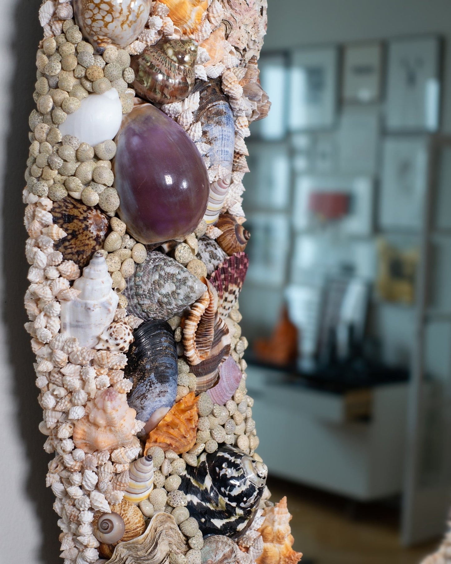 OVOID | Shell mirror, 1 of 1 | Shellman | Amsterdam | Natural art from sea and beach