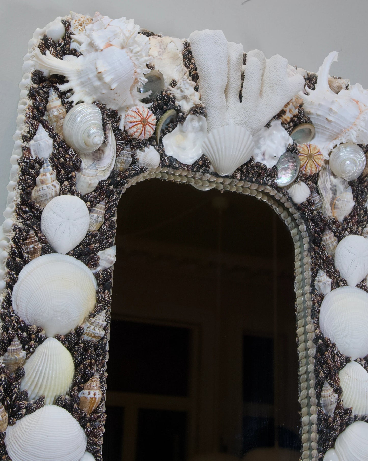 POLARIZED | Shell mirror, 1 of 1 | Shellman | Amsterdam | Natural art from sea and beach