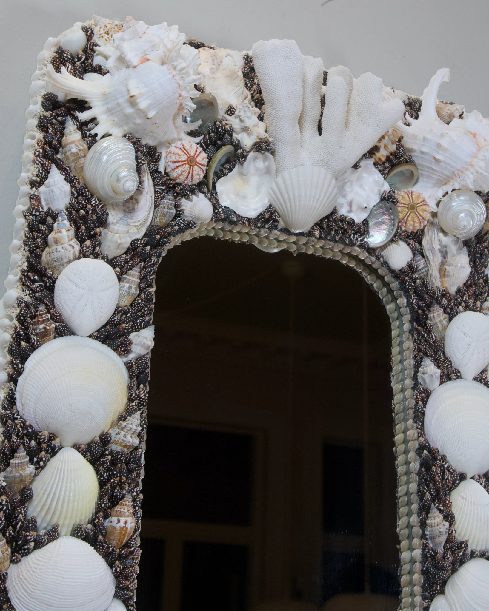 POLARIZED | Shell mirror, 1 of 1 | Shellman | Amsterdam | Natural art from sea and beach