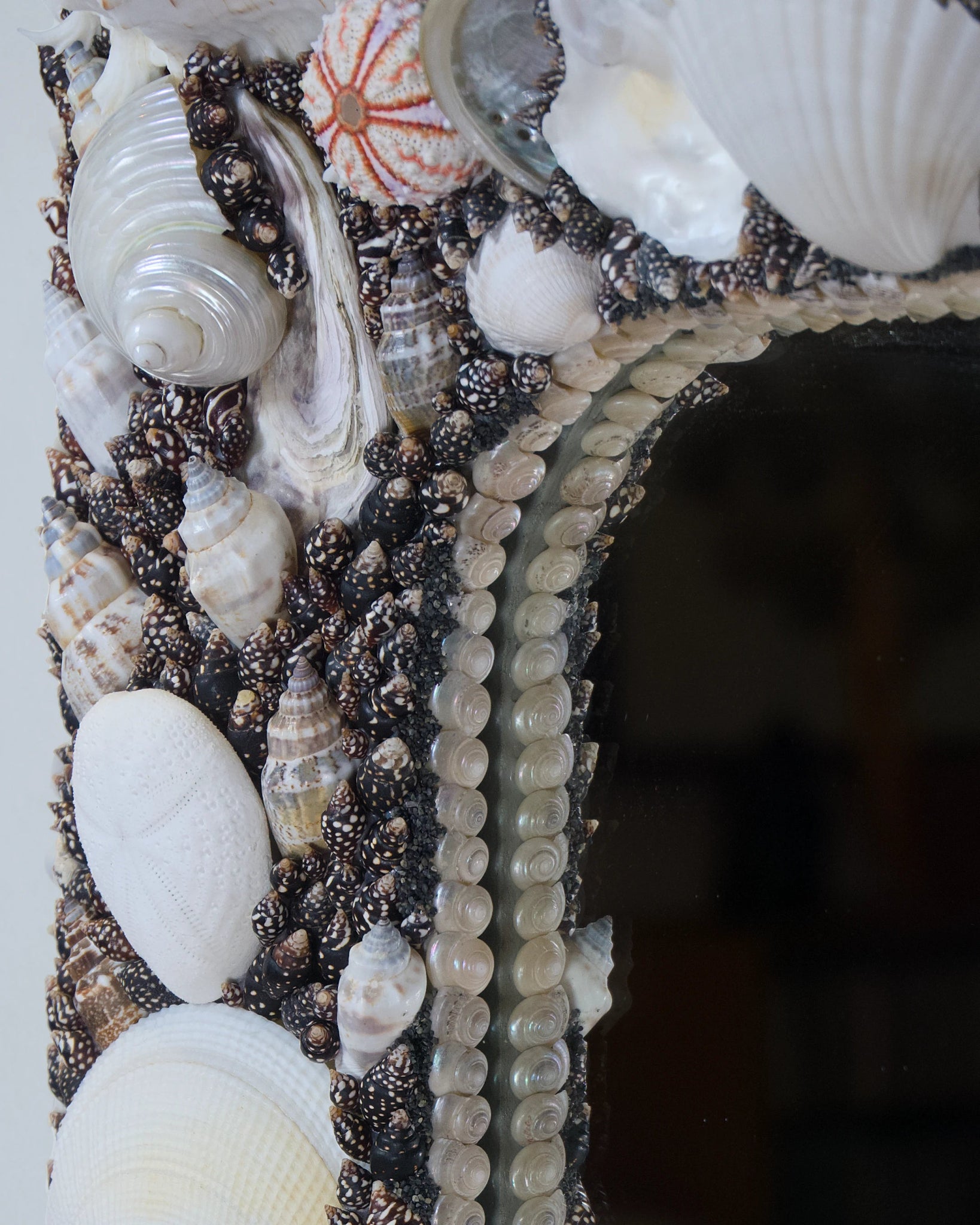 POLARIZED | Shell mirror, 1 of 1 | Shellman | Amsterdam | Natural art from sea and beach