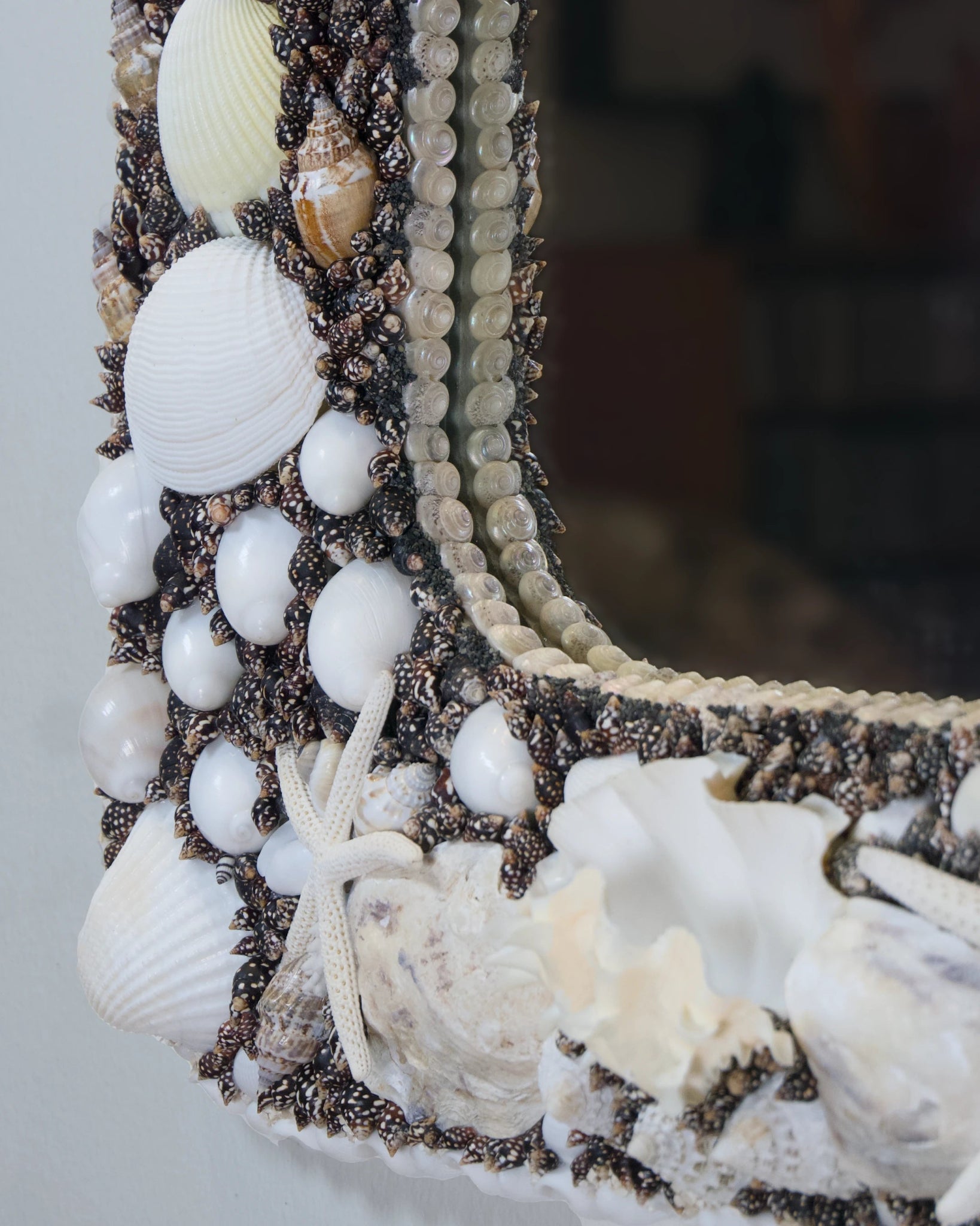 POLARIZED | Shell mirror, 1 of 1 | Shellman | Amsterdam | Natural art from sea and beach