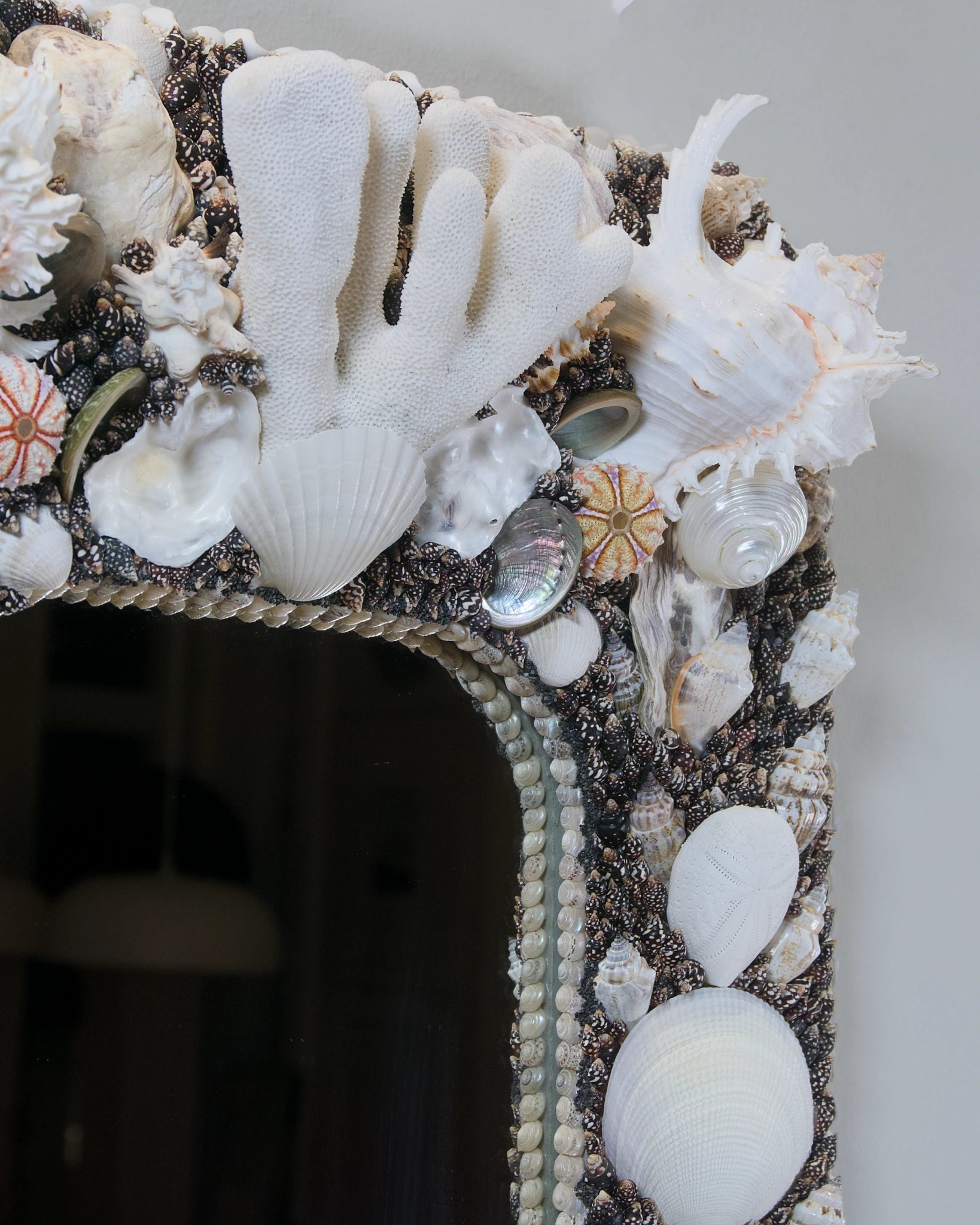 POLARIZED | Shell mirror, 1 of 1 | Shellman | Amsterdam | Natural art from sea and beach