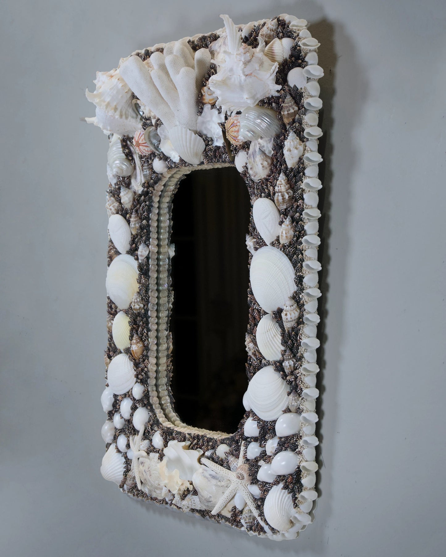 POLARIZED | Shell mirror, 1 of 1 | Shellman | Amsterdam | Natural art from sea and beach