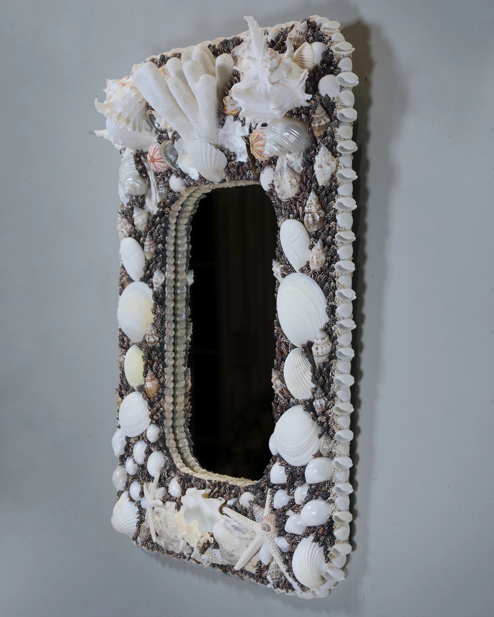 POLARIZED | Shell mirror, 1 of 1 | Shellman | Amsterdam | Natural art from sea and beach