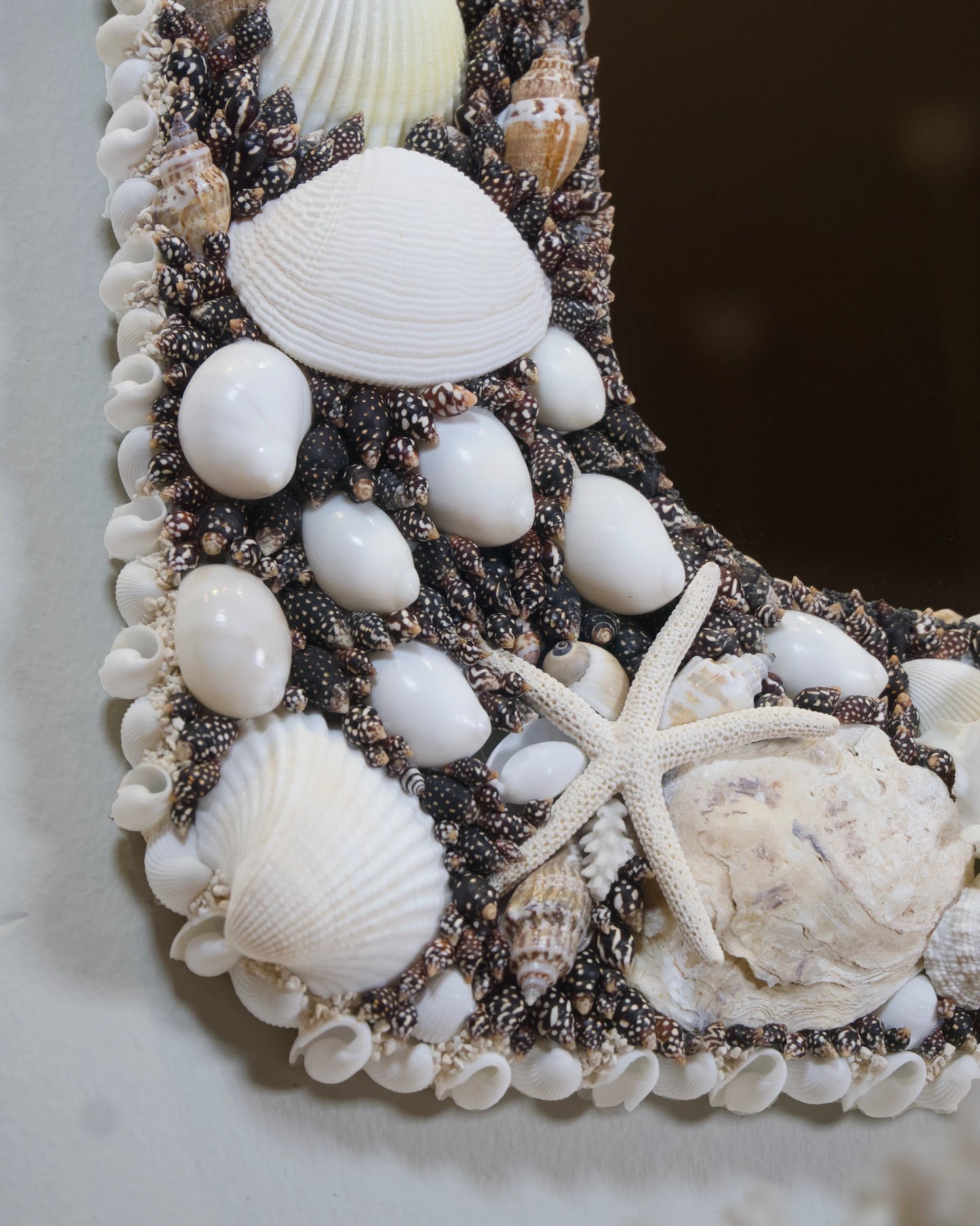 POLARIZED | Shell mirror, 1 of 1 | Shellman | Amsterdam | Natural art from sea and beach