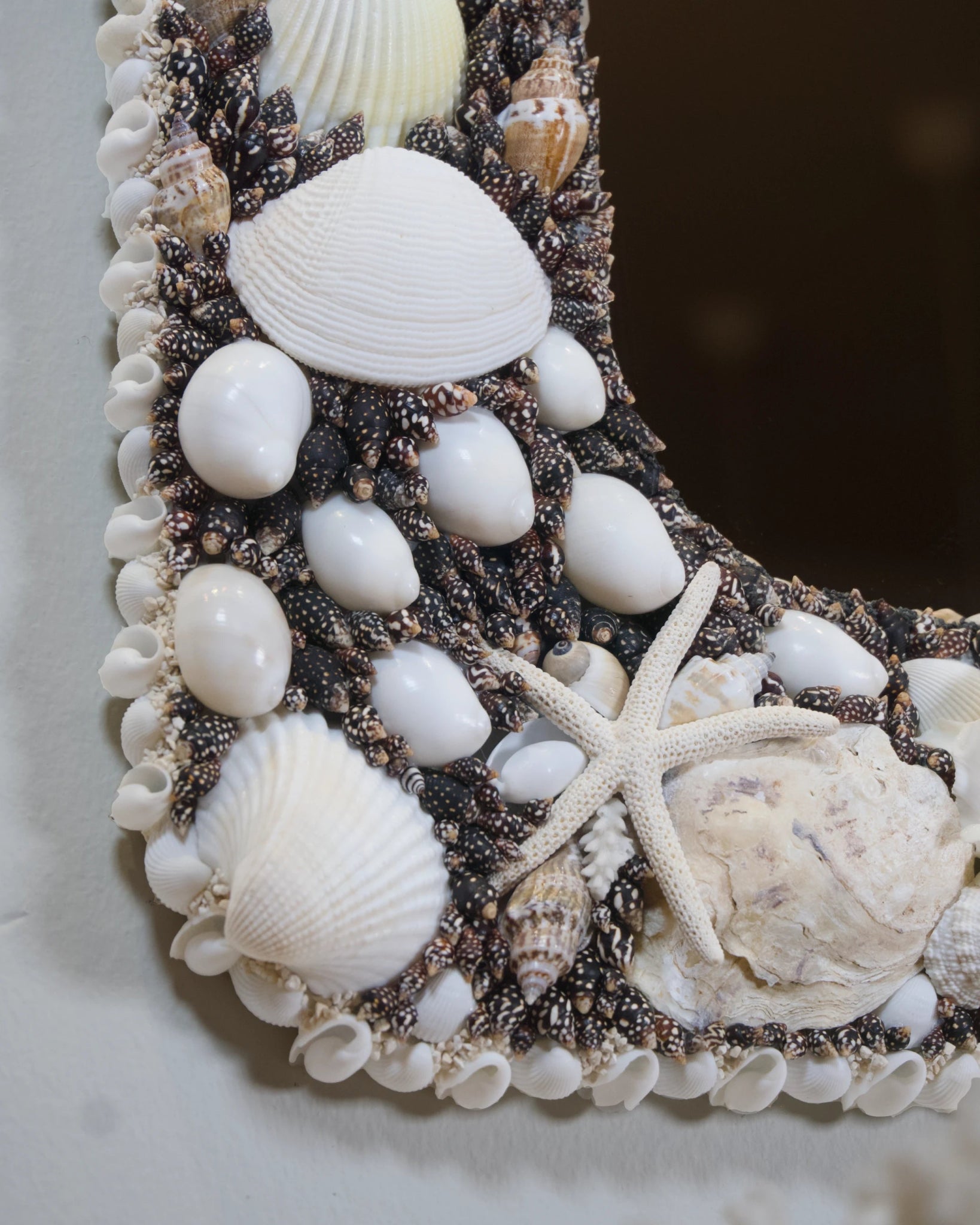 POLARIZED | Shell mirror, 1 of 1 | Shellman | Amsterdam | Natural art from sea and beach