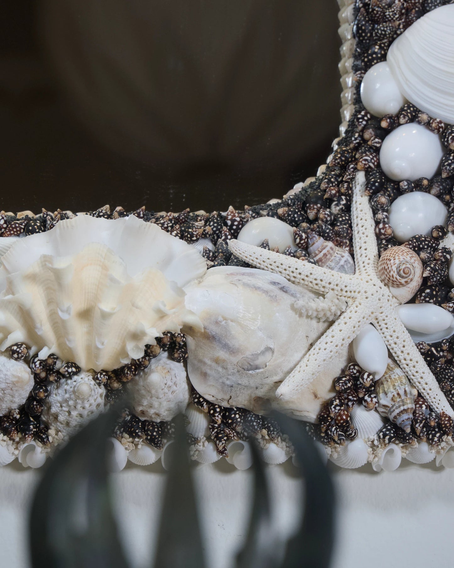 POLARIZED | Shell mirror, 1 of 1 | Shellman | Amsterdam | Natural art from sea and beach