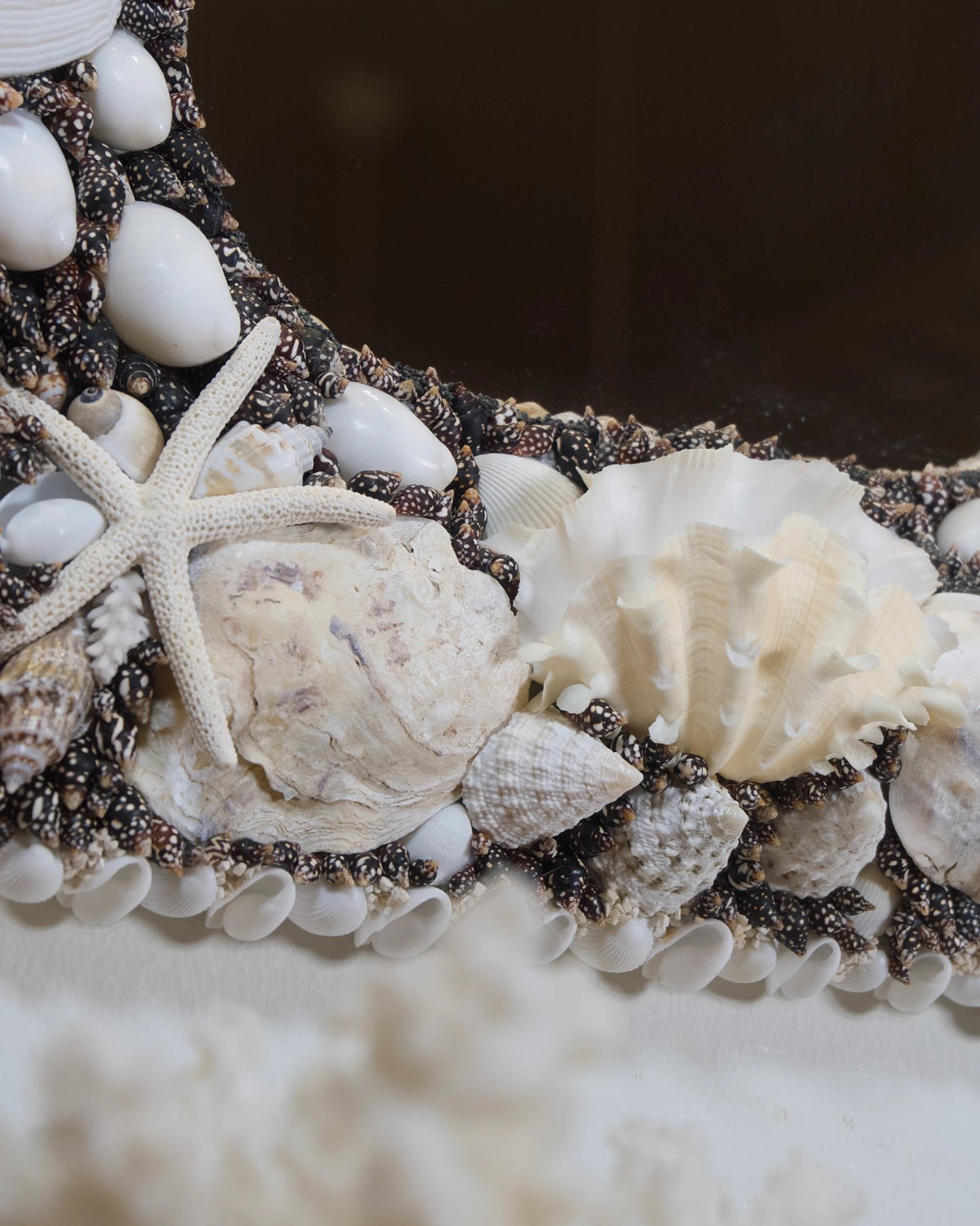 POLARIZED | Shell mirror, 1 of 1 | Shellman | Amsterdam | Natural art from sea and beach