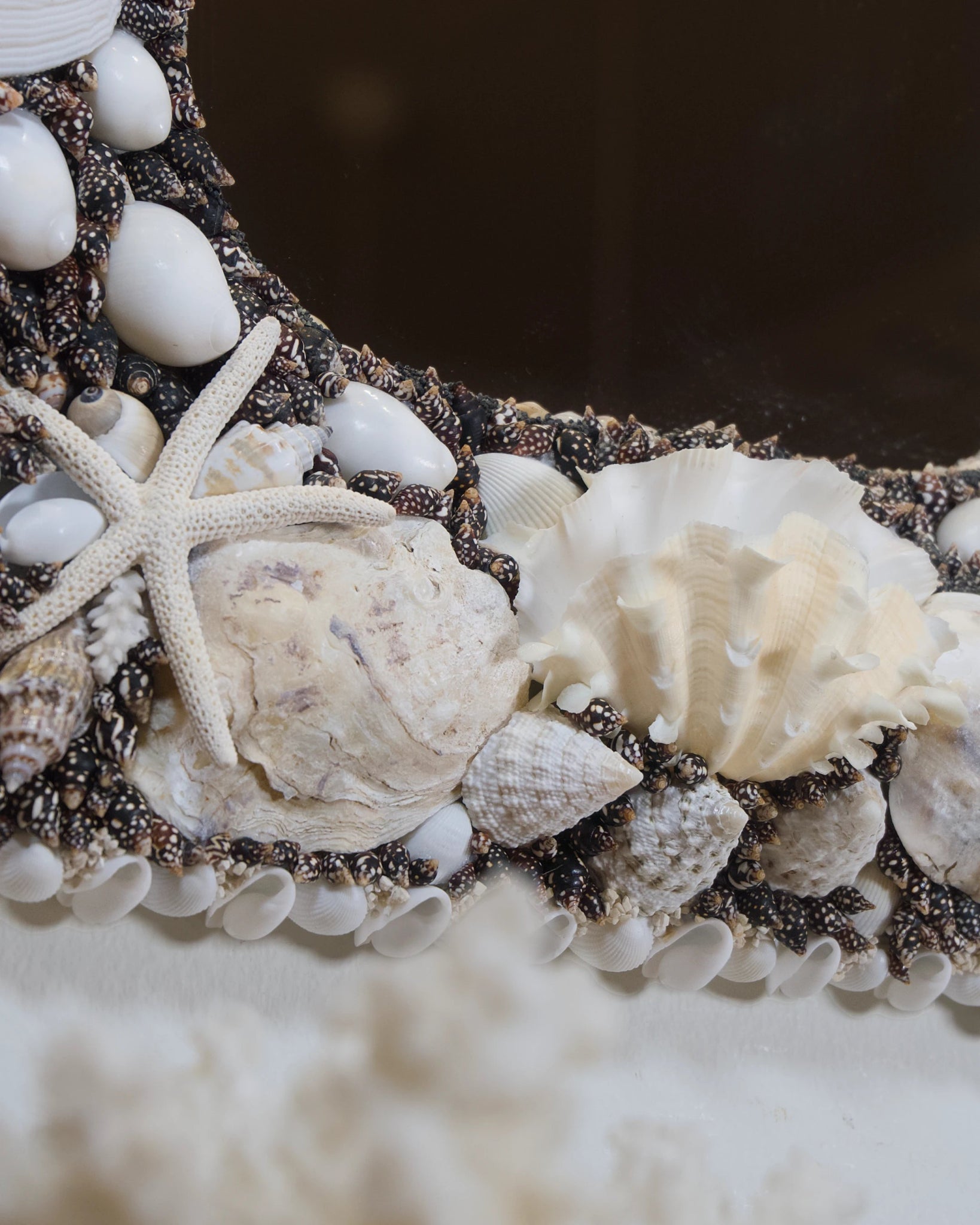 POLARIZED | Shell mirror, 1 of 1 | Shellman | Amsterdam | Natural art from sea and beach