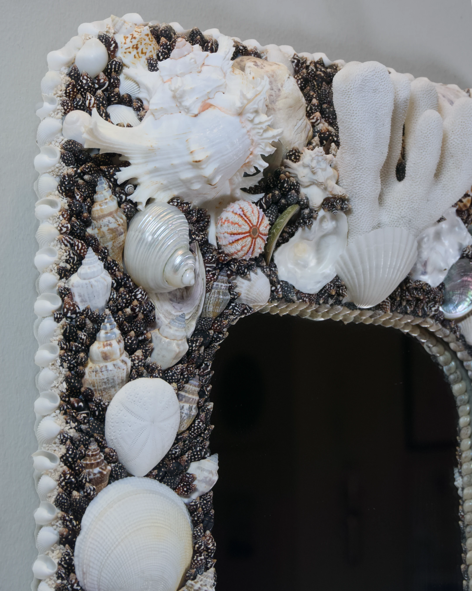 POLARIZED | Shell mirror, 1 of 1 | Shellman | Amsterdam | Natural art from sea and beach