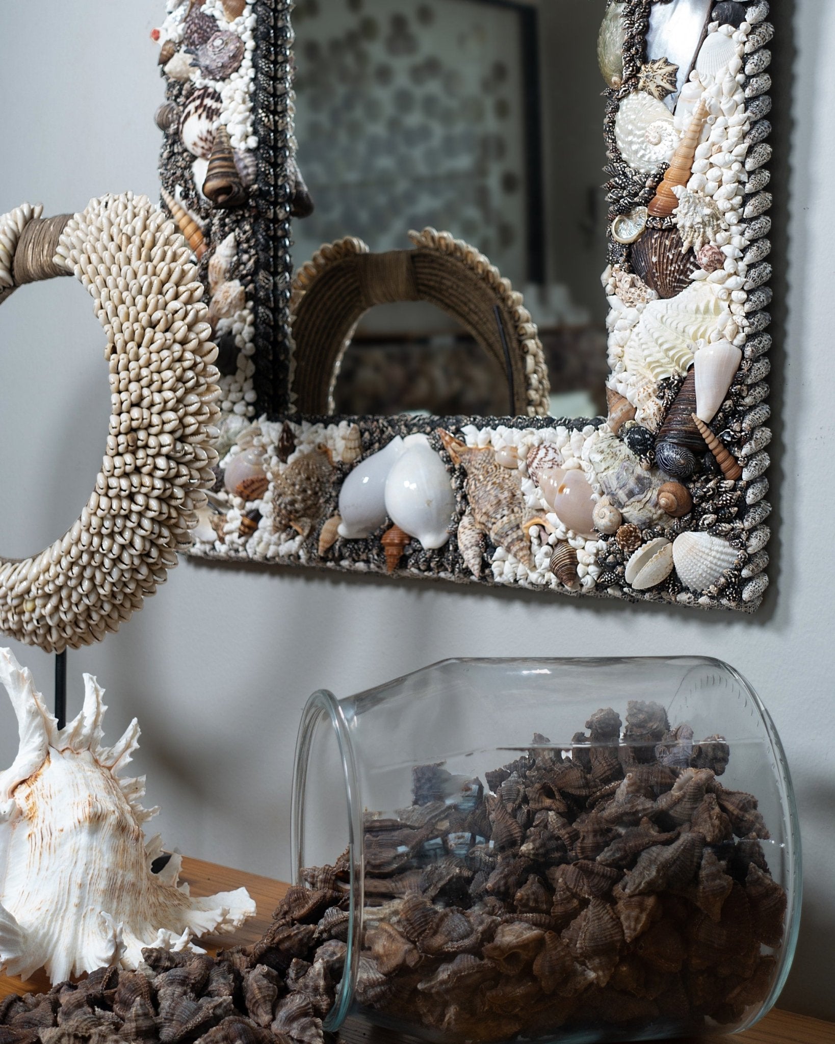 PRO CONTRA | Shell mirror, 1 of 1 | Shellman | Amsterdam | Natural art from sea and beach