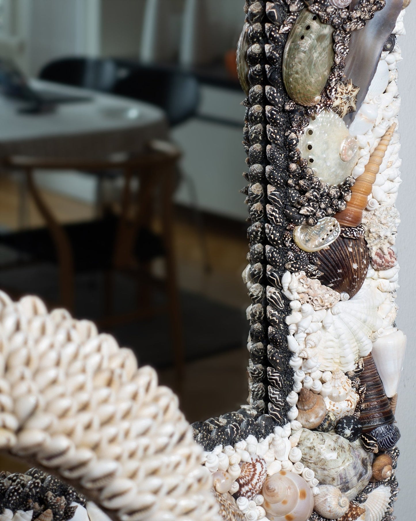 PRO CONTRA | Shell mirror, 1 of 1 | Shellman | Amsterdam | Natural art from sea and beach