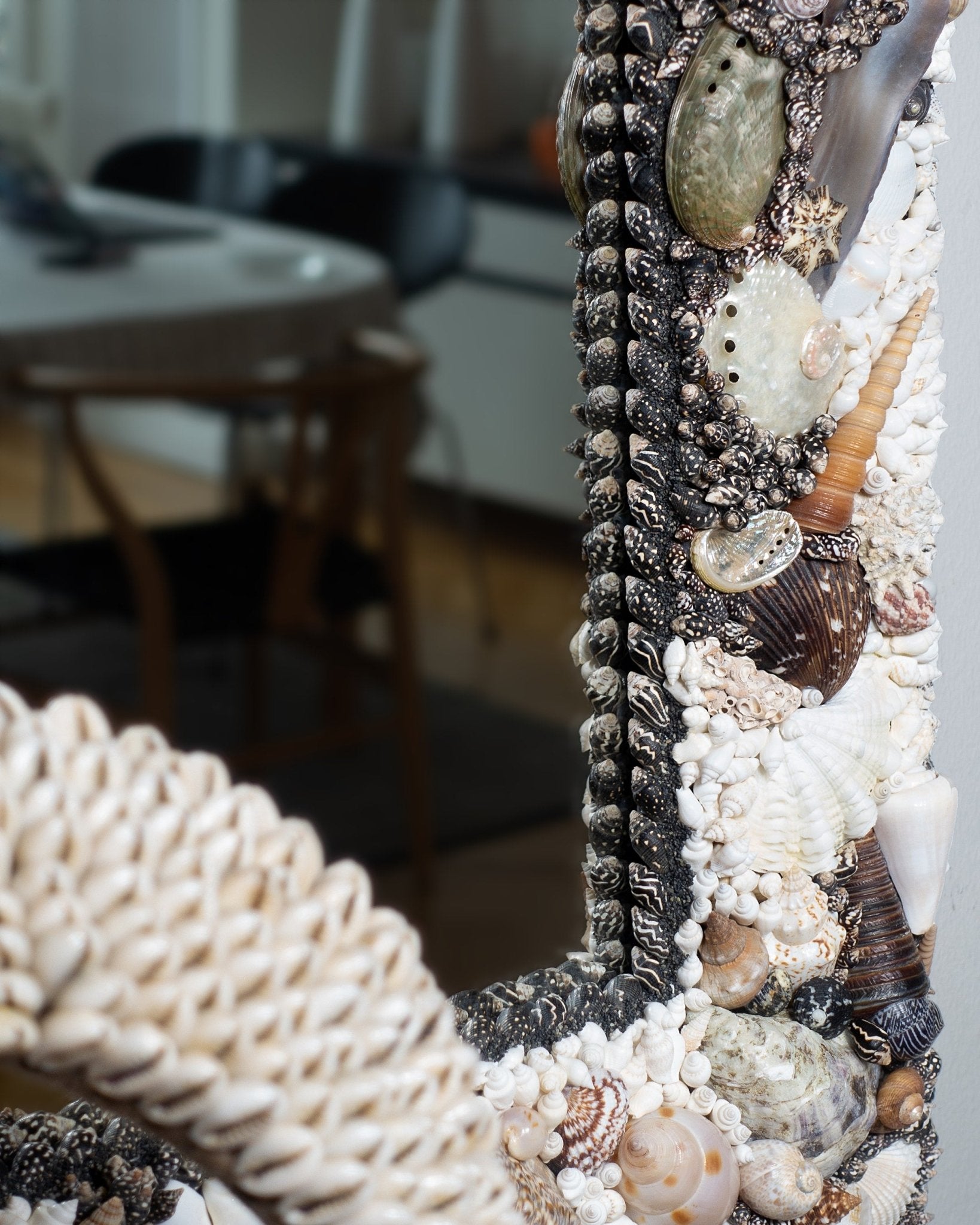 PRO CONTRA | Shell mirror, 1 of 1 | Shellman | Amsterdam | Natural art from sea and beach