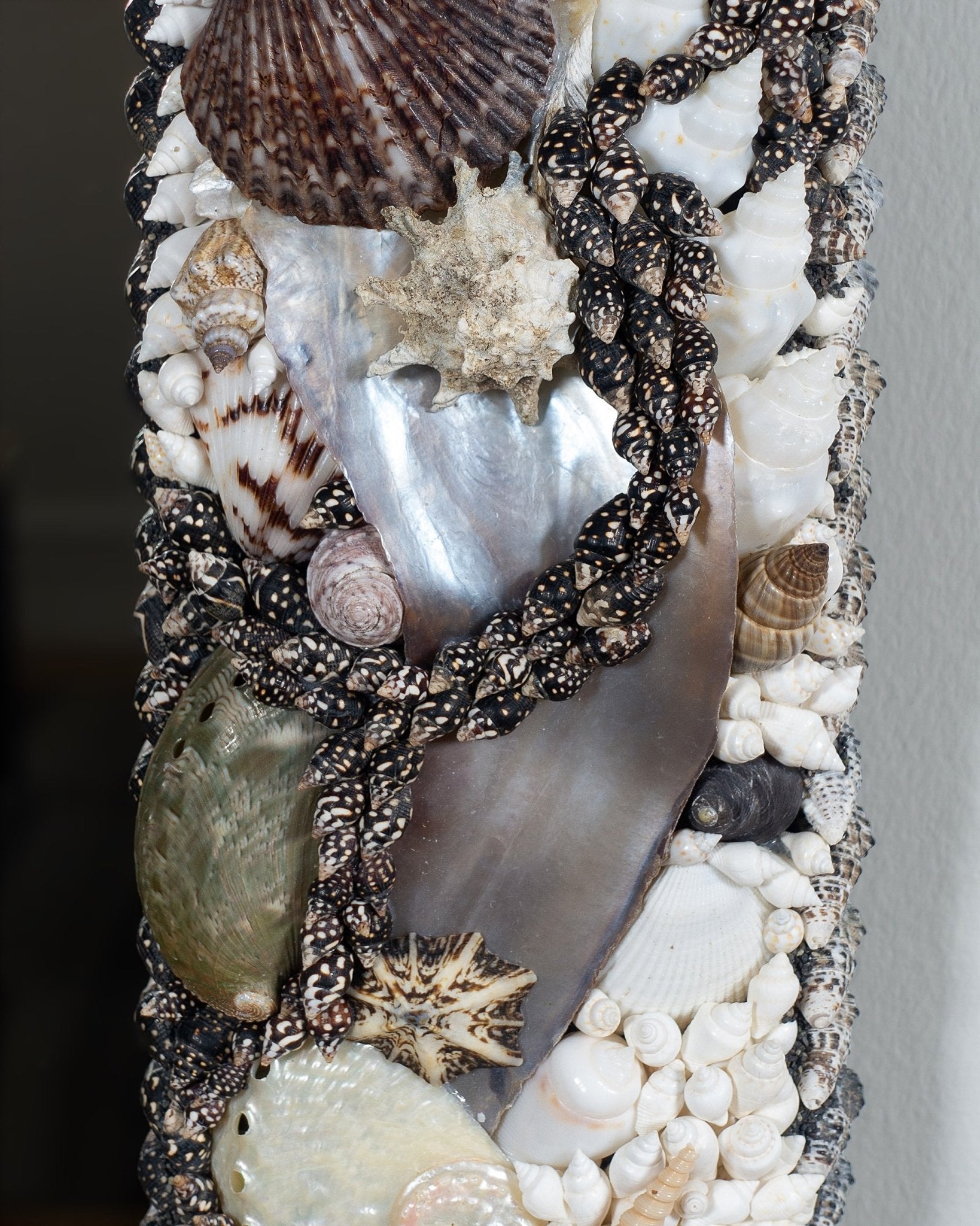 PRO CONTRA | Shell mirror, 1 of 1 | Shellman | Amsterdam | Natural art from sea and beach