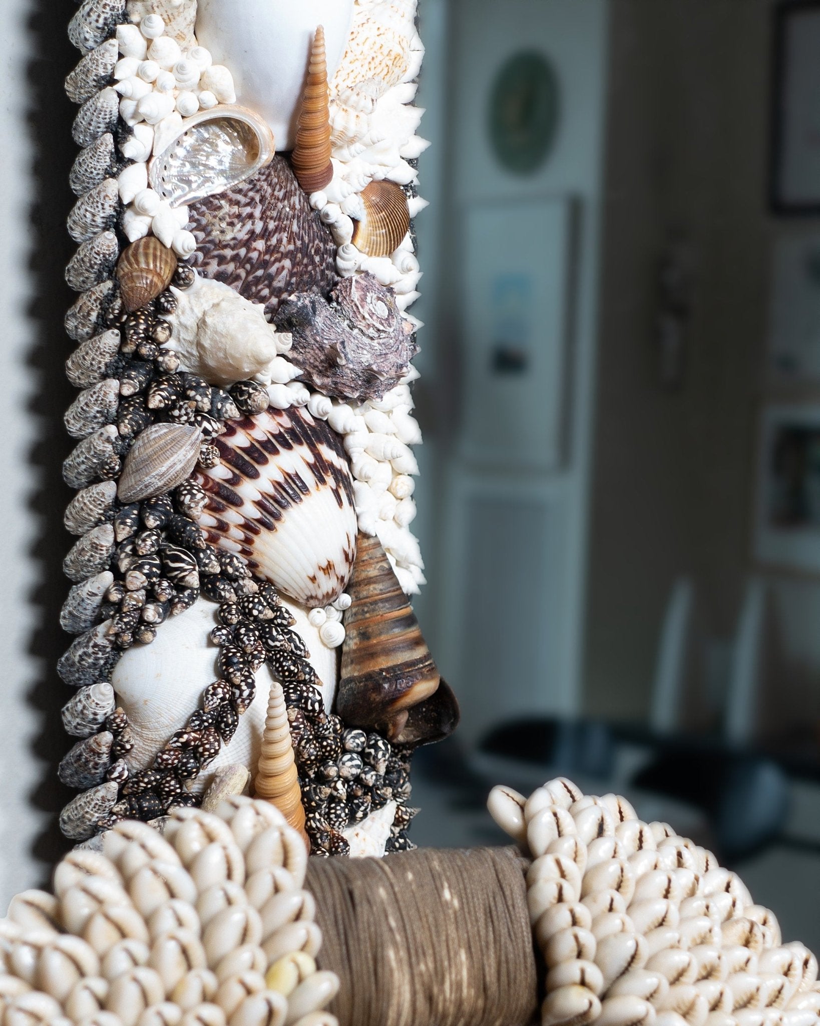 PRO CONTRA | Shell mirror, 1 of 1 | Shellman | Amsterdam | Natural art from sea and beach